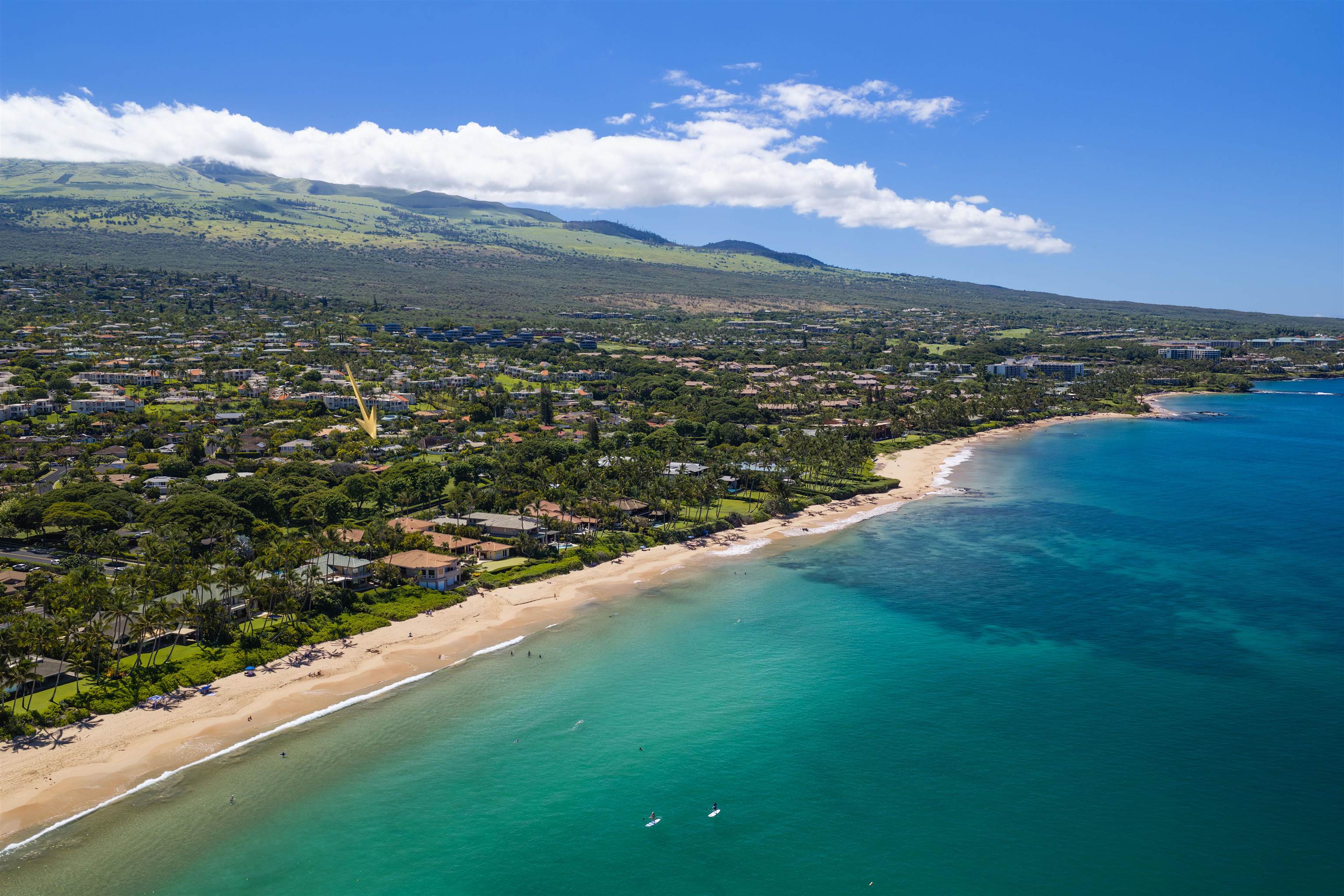 30  Waikai St Wailea, Wailea/Makena home - photo 32 of 50
