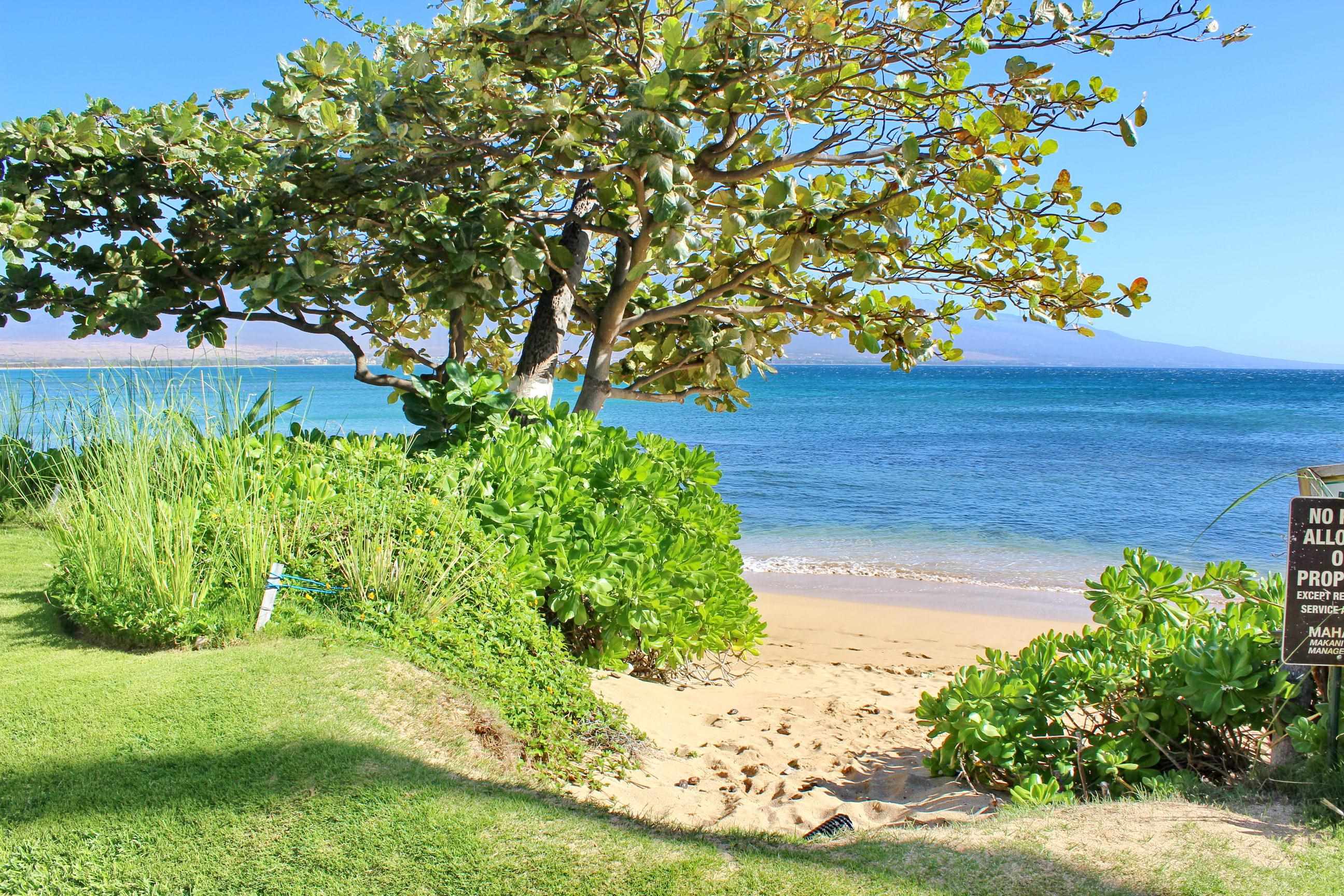 Makani A Kai condo # A1, Wailuku, Hawaii - photo 30 of 41