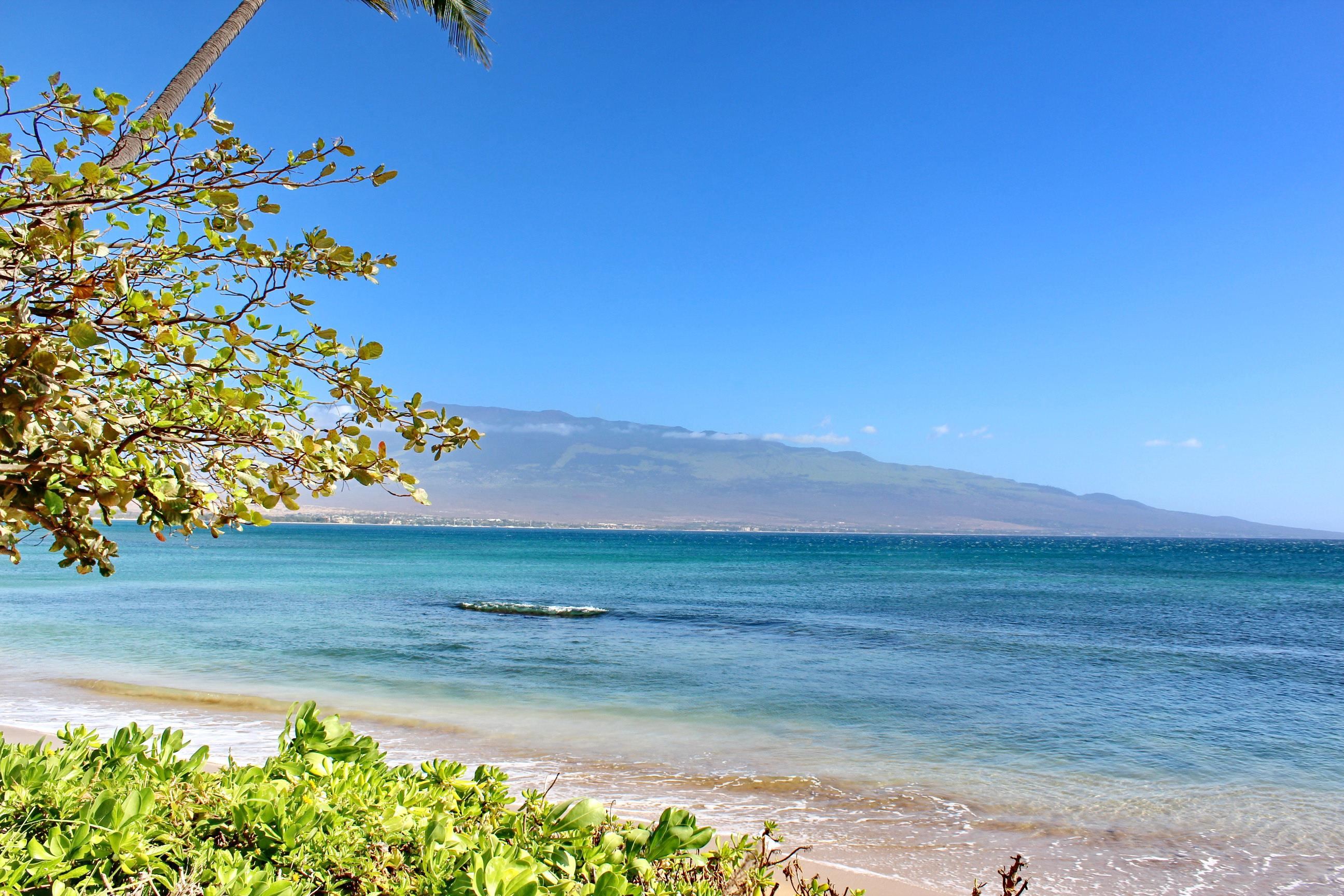 Makani A Kai condo # A1, Wailuku, Hawaii - photo 31 of 41