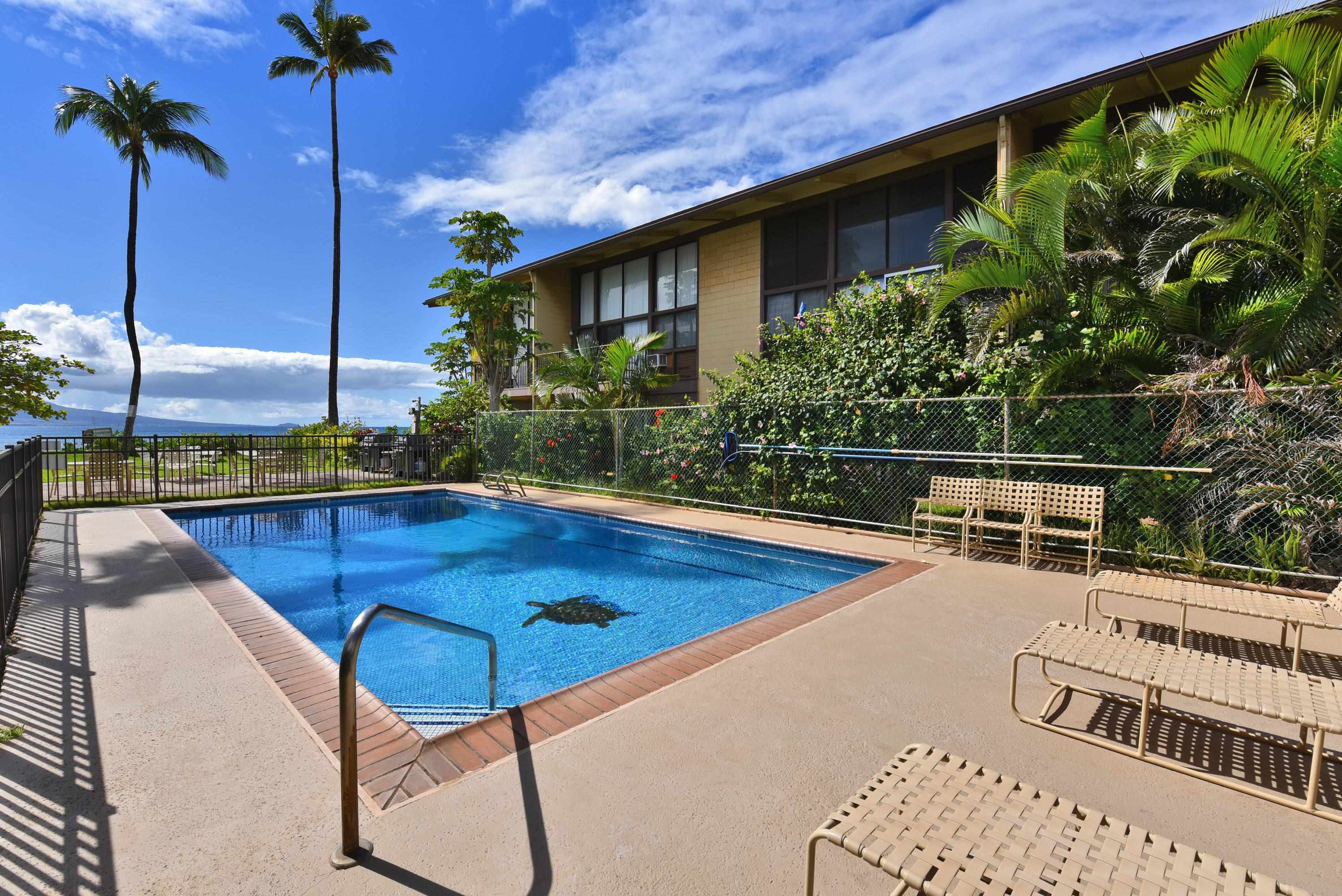 Makani A Kai condo # A8, Wailuku, Hawaii - photo 16 of 21