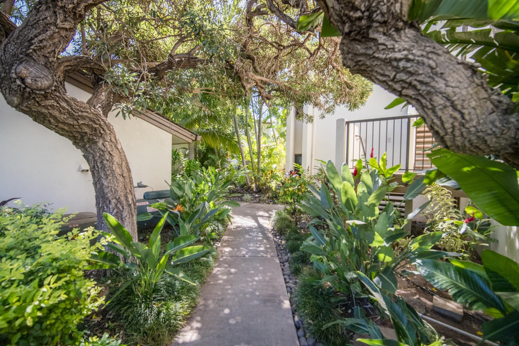 Makani A Kai condo # A9, Wailuku, Hawaii - photo 21 of 37