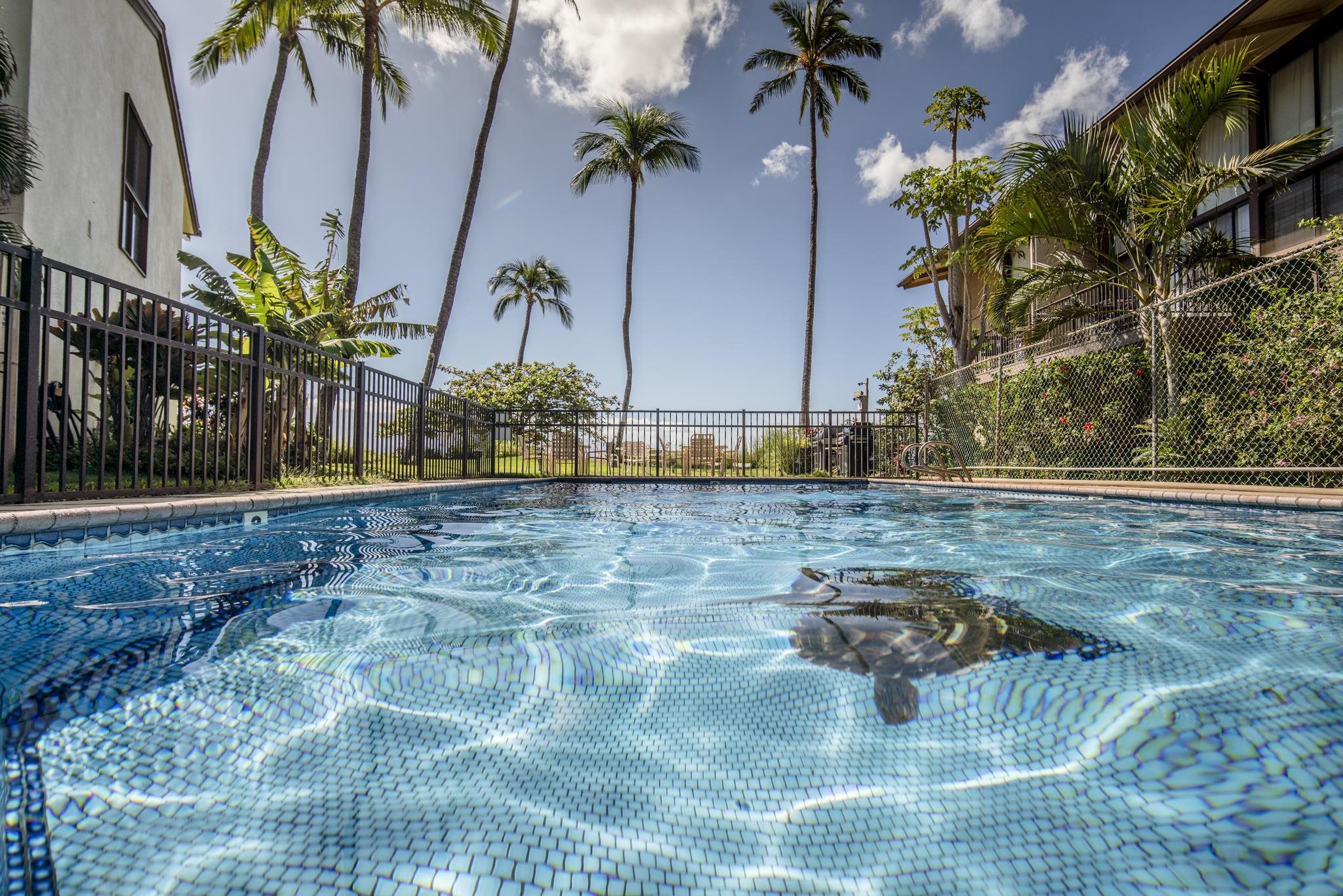 Makani A Kai condo # A9, Wailuku, Hawaii - photo 23 of 37