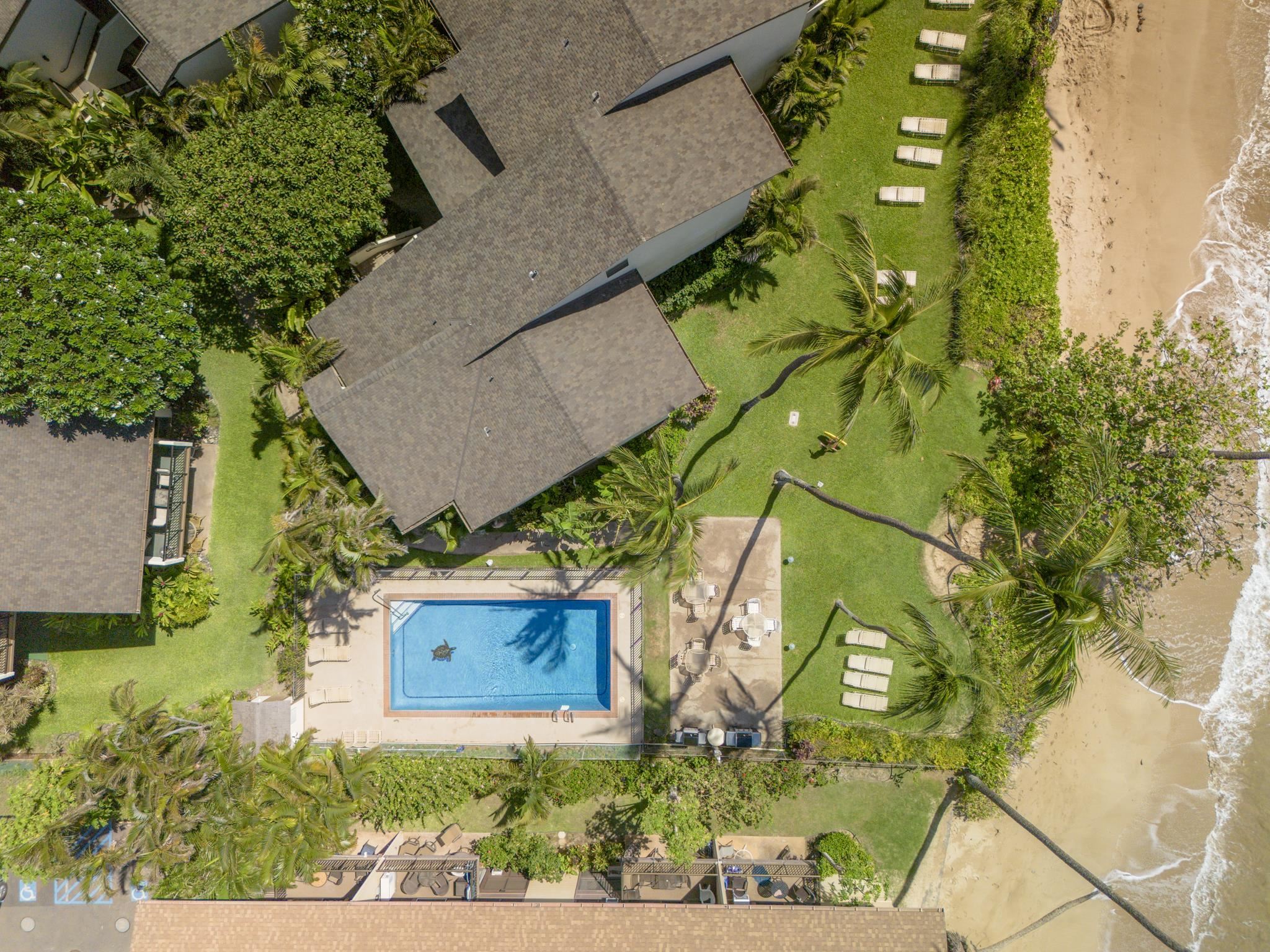 Makani A Kai condo # A9, Wailuku, Hawaii - photo 27 of 37