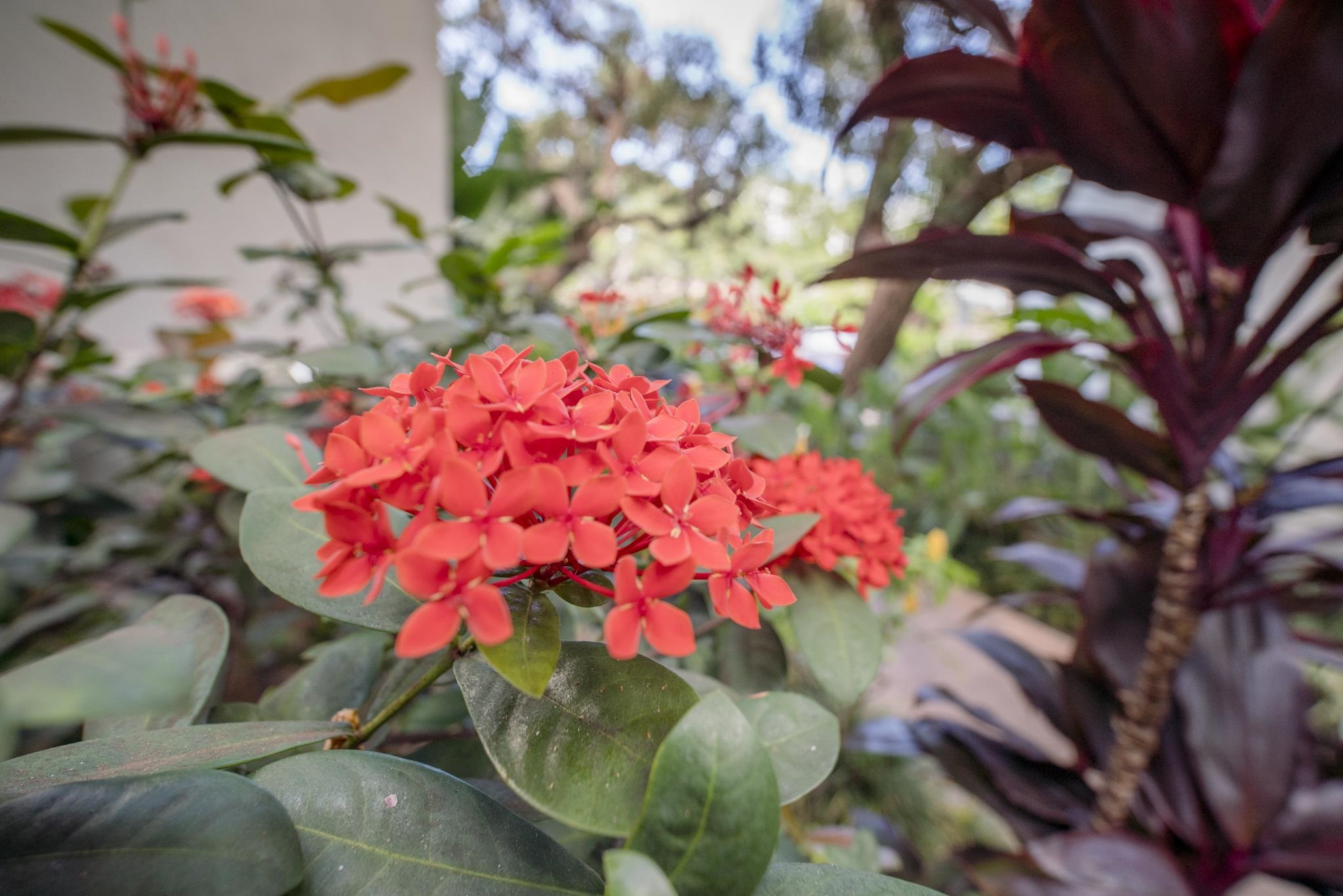 Makani A Kai condo # A9, Wailuku, Hawaii - photo 37 of 37