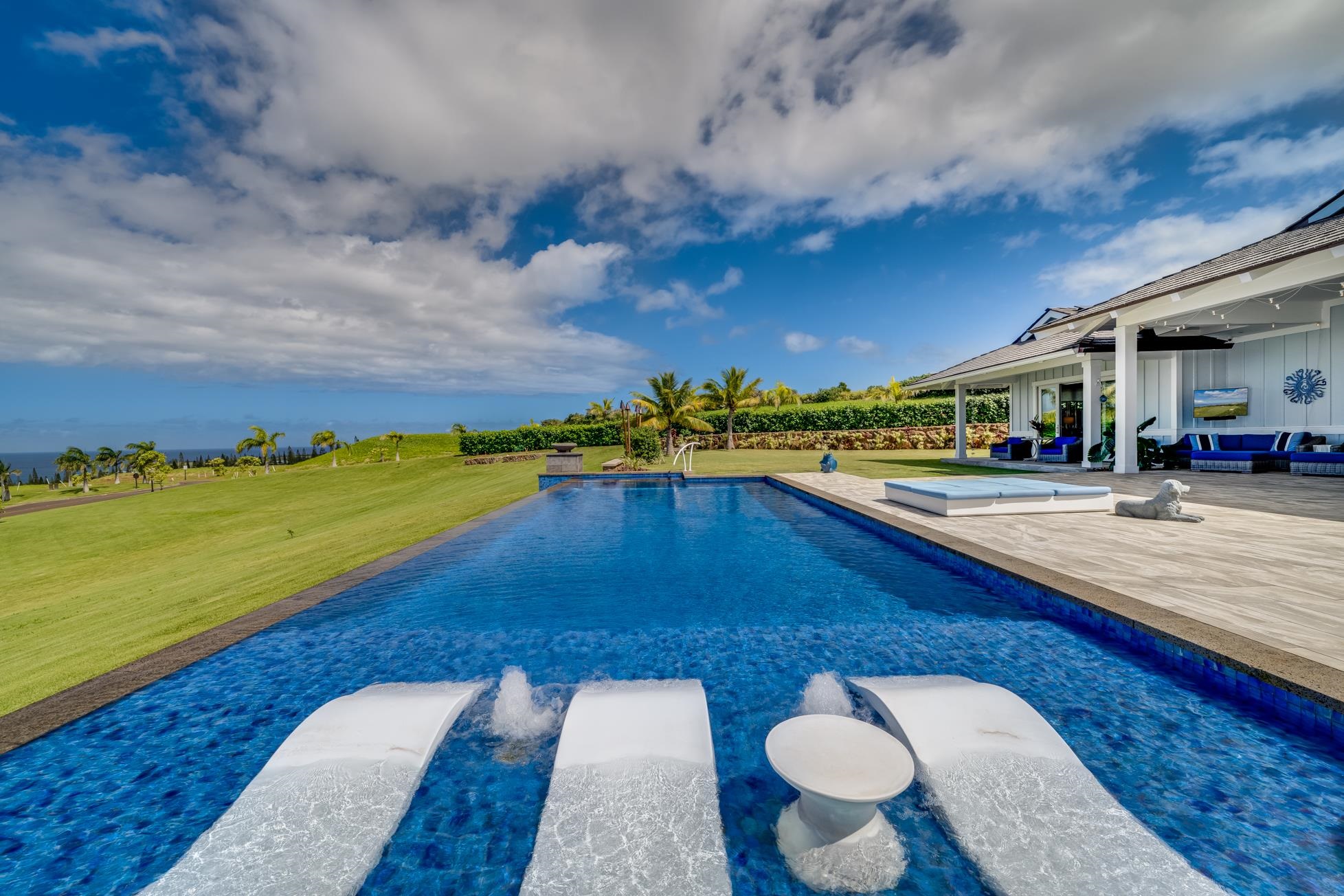 300  Mahana Ridge St Kapalua, Kapalua home - photo 7 of 50