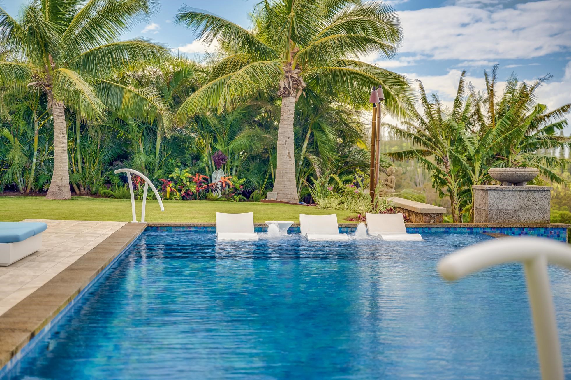 300  Mahana Ridge St Kapalua, Kapalua home - photo 8 of 50