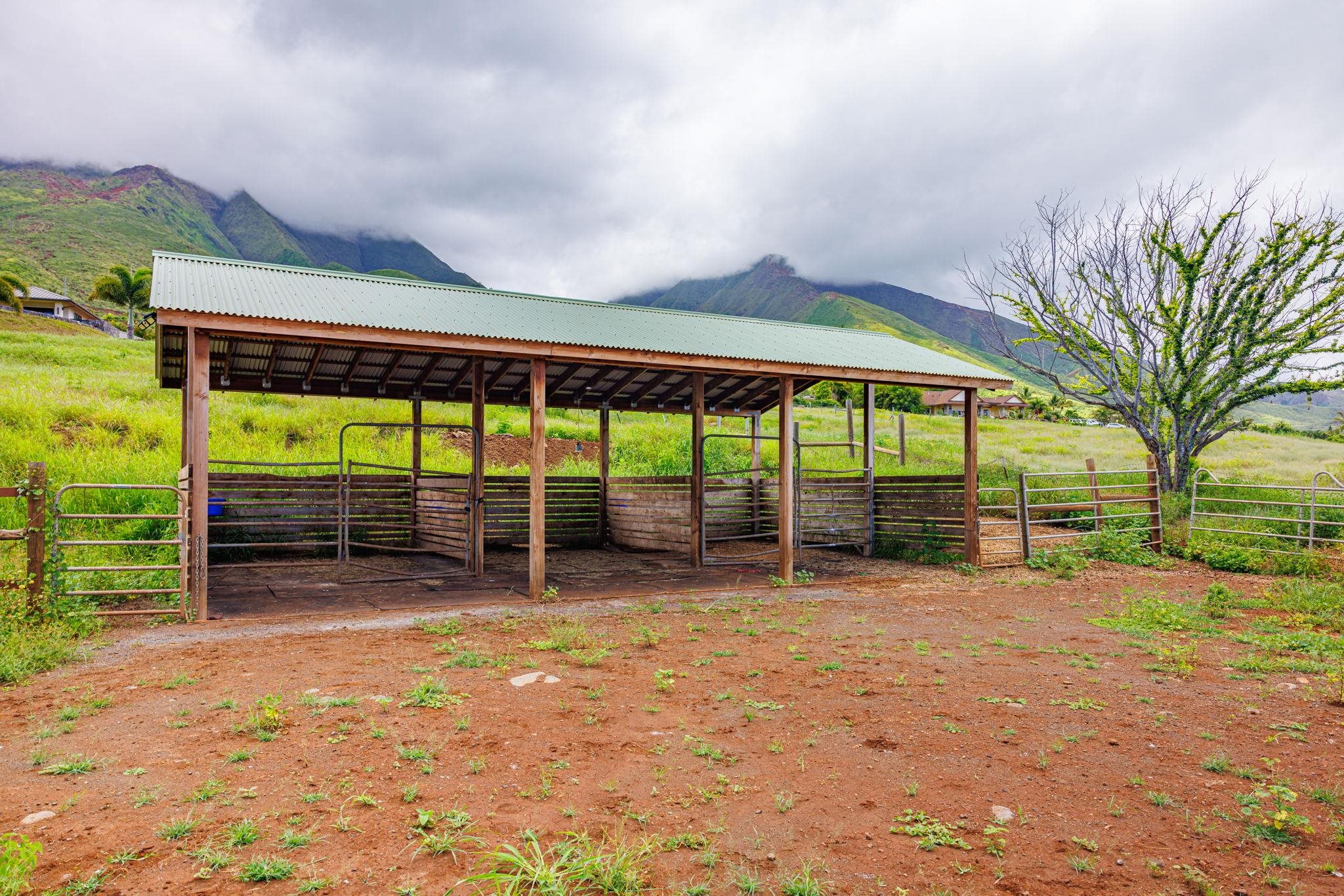 300  Punakea Loop Launiupoko, Lahaina home - photo 44 of 50