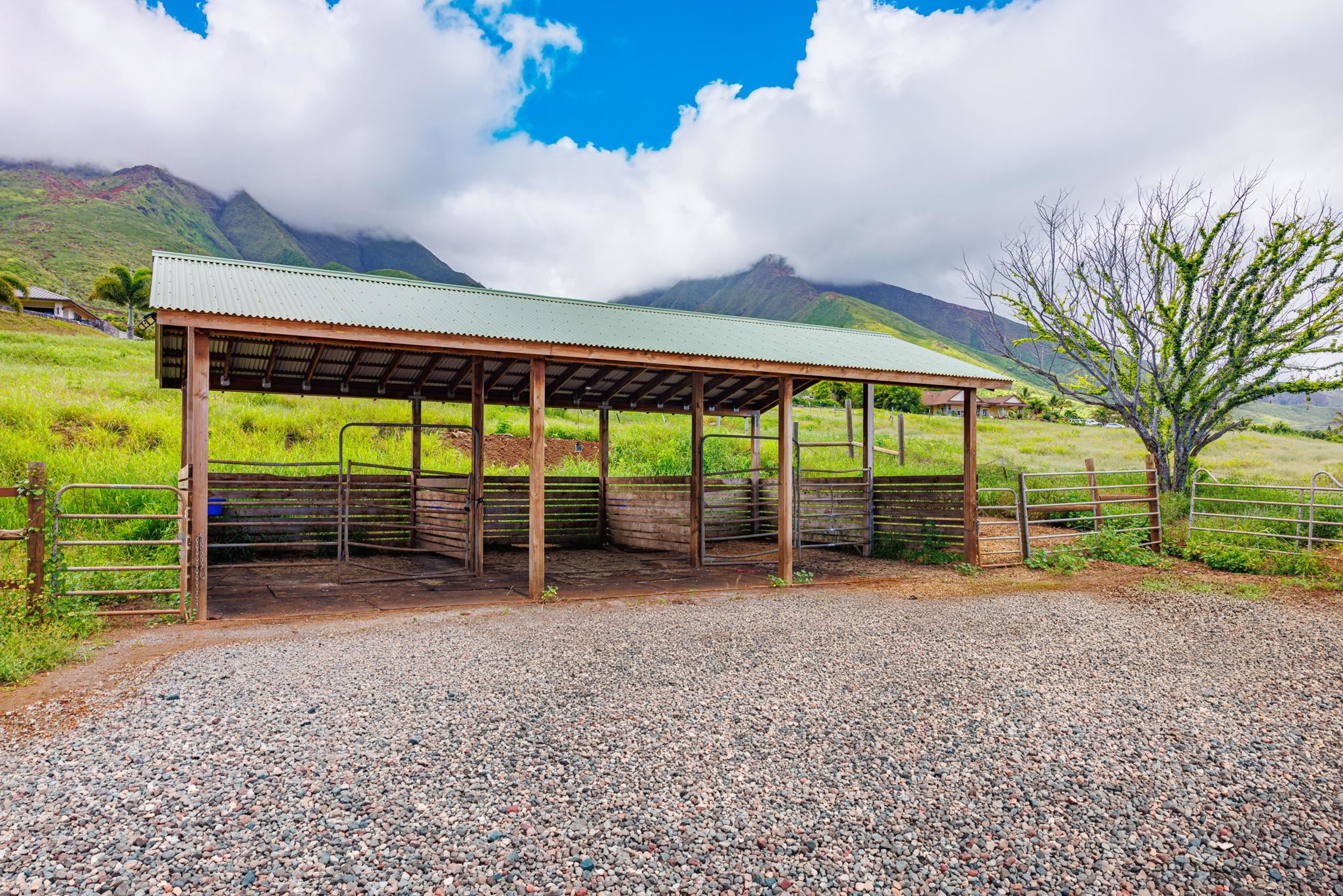 300  Punakea Loop Launiupoko, Lahaina home - photo 45 of 50