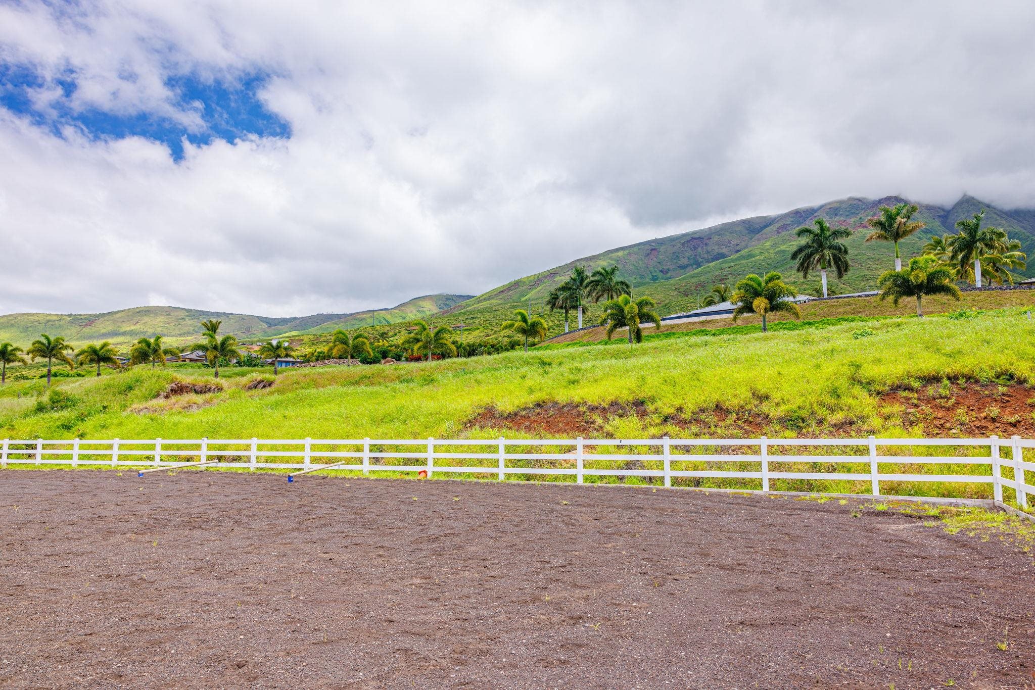 300  Punakea Loop Launiupoko, Lahaina home - photo 46 of 50