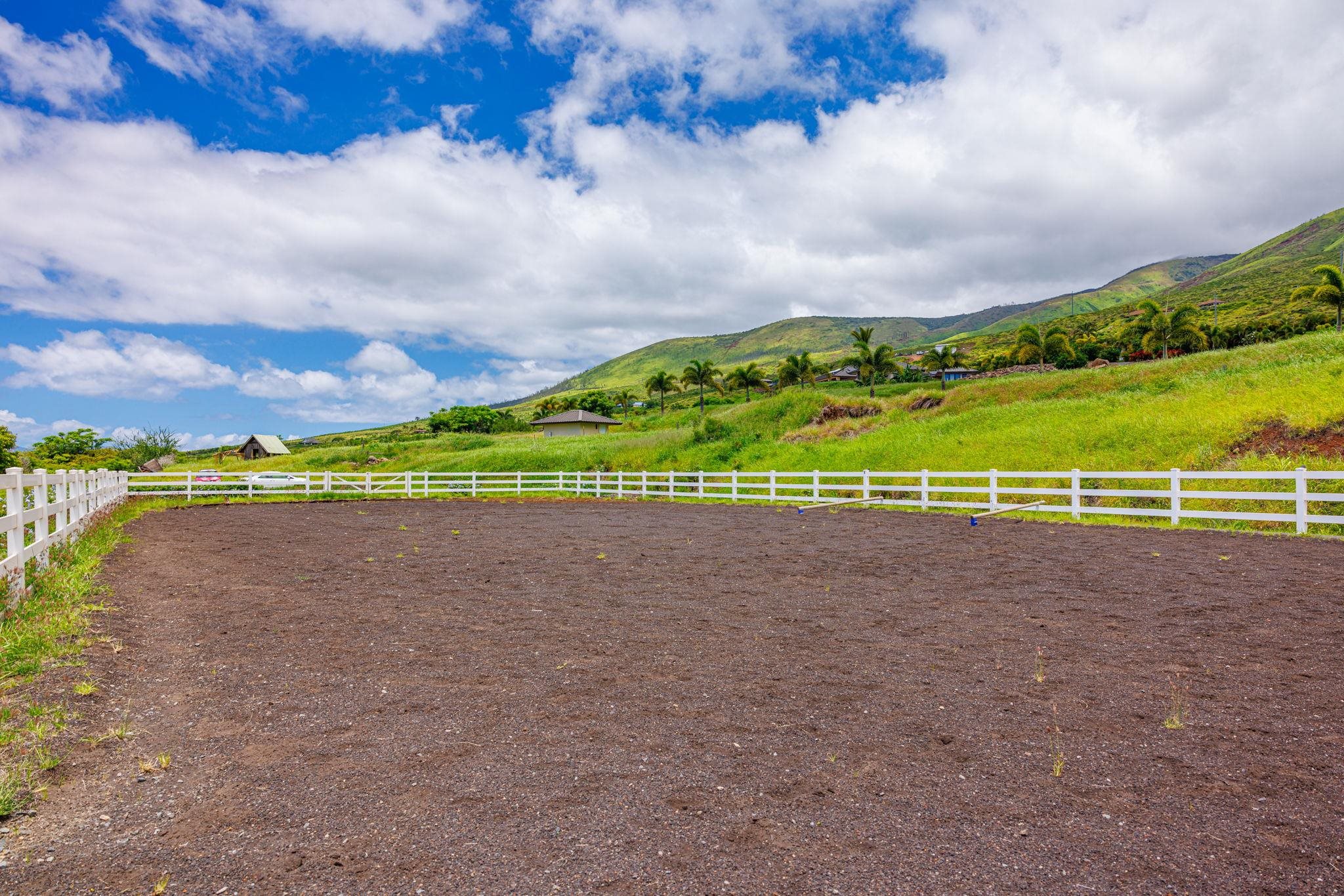 300  Punakea Loop Launiupoko, Lahaina home - photo 47 of 50