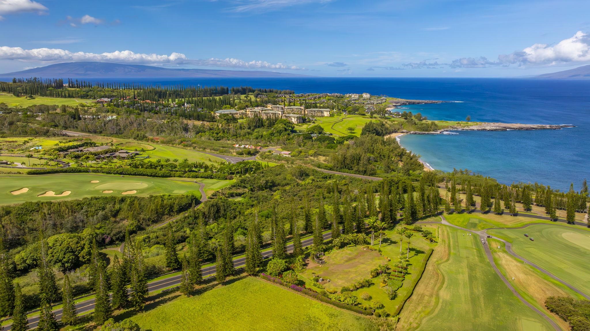 301 Plantation Estates Dr  Lahaina, Hi vacant land for sale - photo 11 of 17