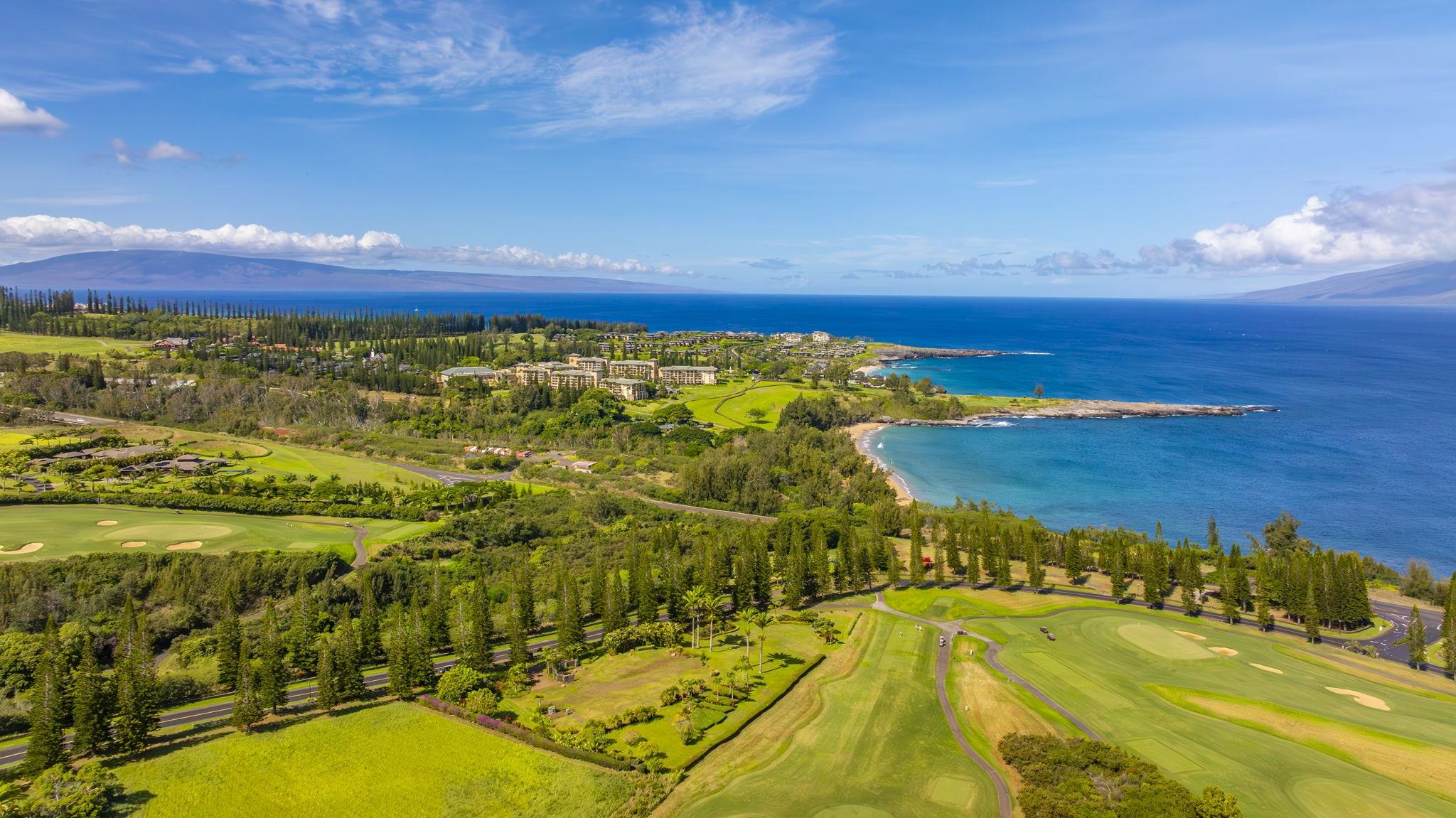 301 Plantation Estates Dr  Lahaina, Hi vacant land for sale - photo 12 of 17