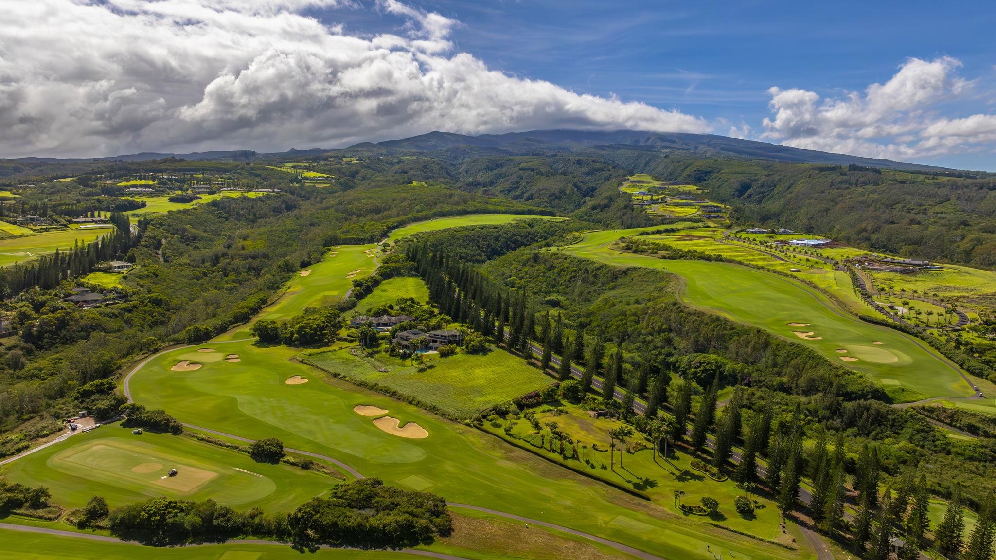 301 Plantation Estates Dr  Lahaina, Hi vacant land for sale - photo 13 of 17