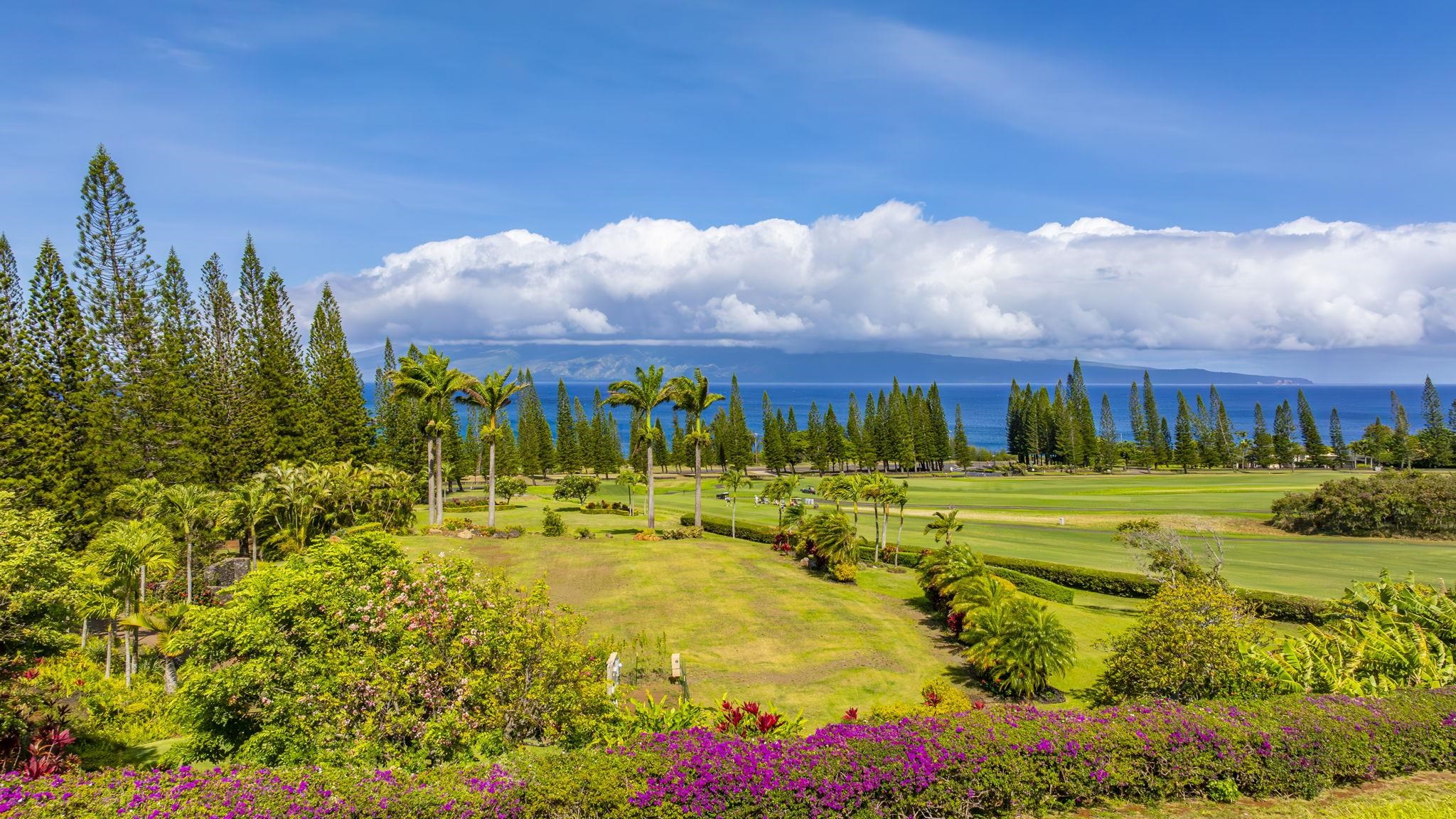 301 Plantation Estates Dr  Lahaina, Hi vacant land for sale - photo 16 of 17