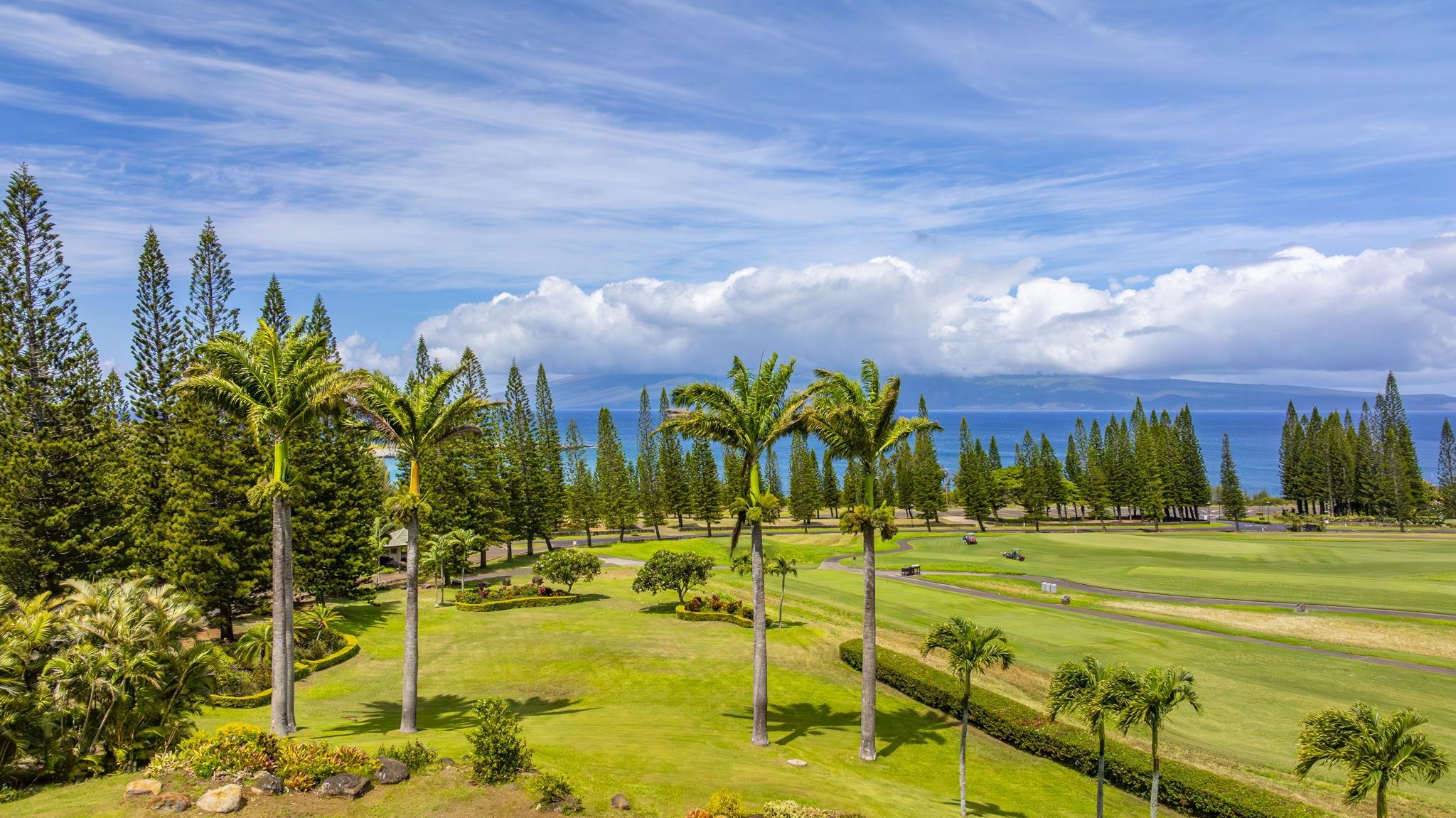 301 Plantation Estates Dr  Lahaina, Hi vacant land for sale - photo 17 of 17