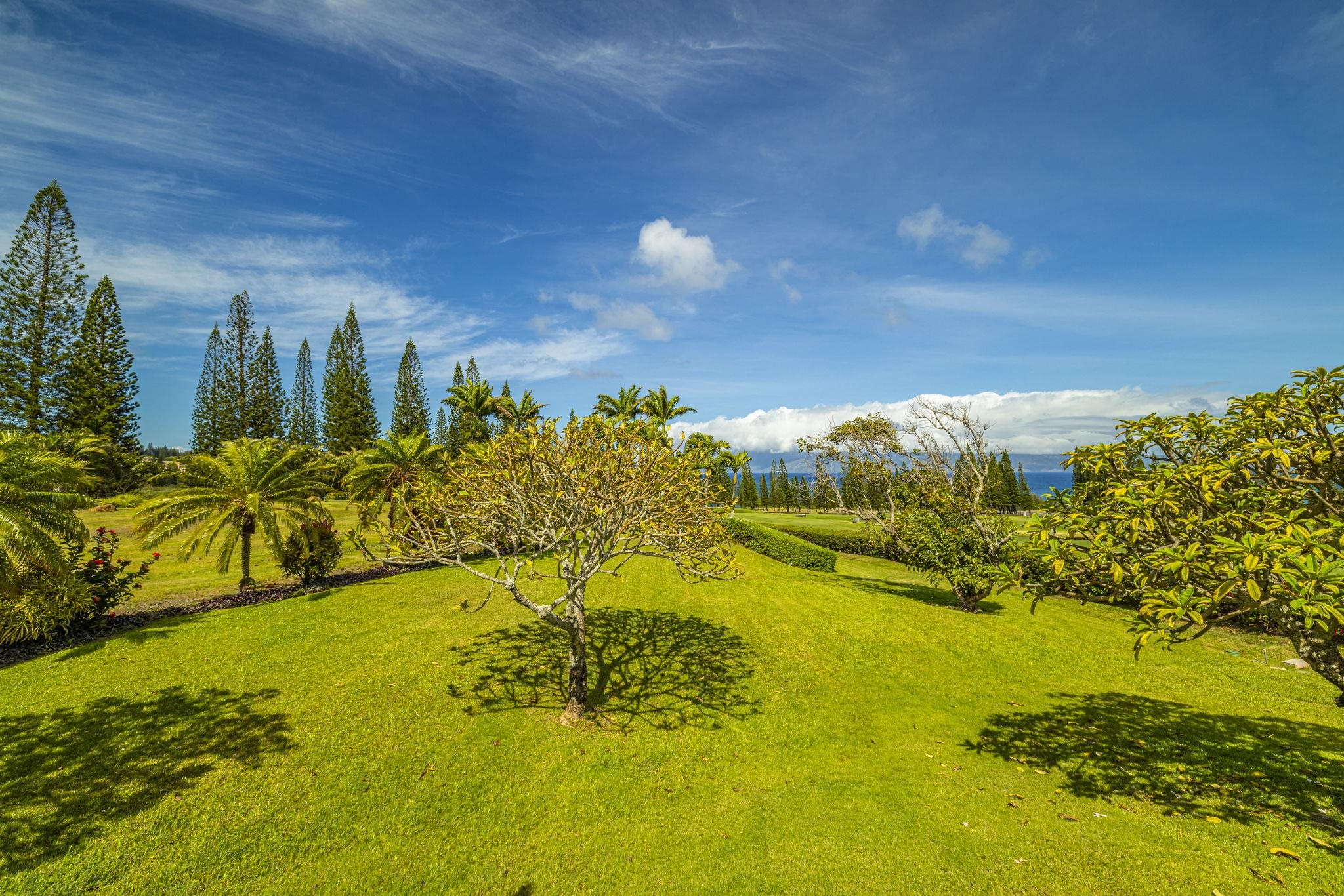 301 Plantation Estates Dr  Lahaina, Hi vacant land for sale - photo 4 of 17