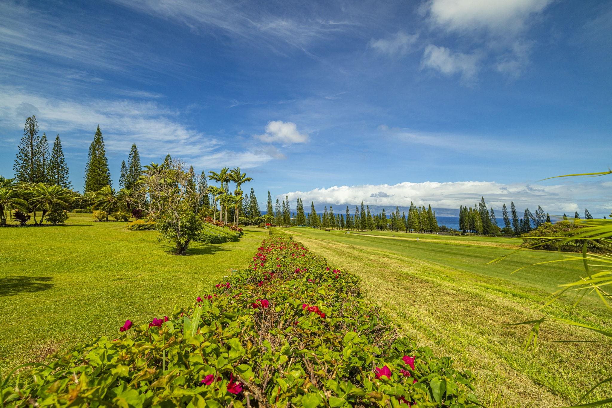 301 Plantation Estates Dr  Lahaina, Hi vacant land for sale - photo 5 of 17