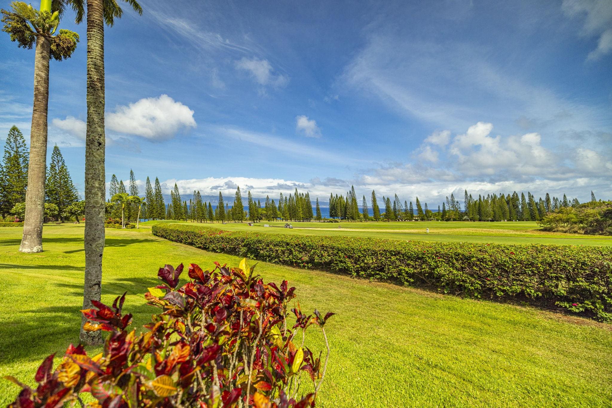 301 Plantation Estates Dr  Lahaina, Hi vacant land for sale - photo 6 of 17