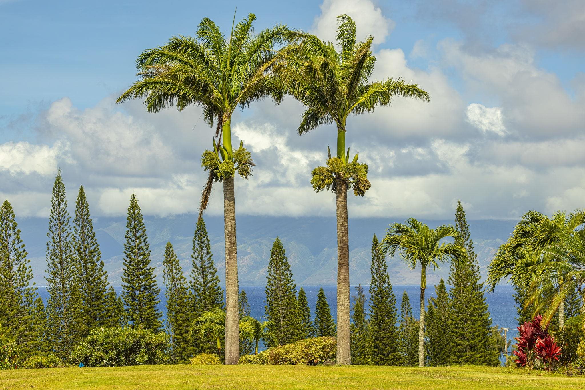 301 Plantation Estates Dr  Lahaina, Hi vacant land for sale - photo 7 of 17