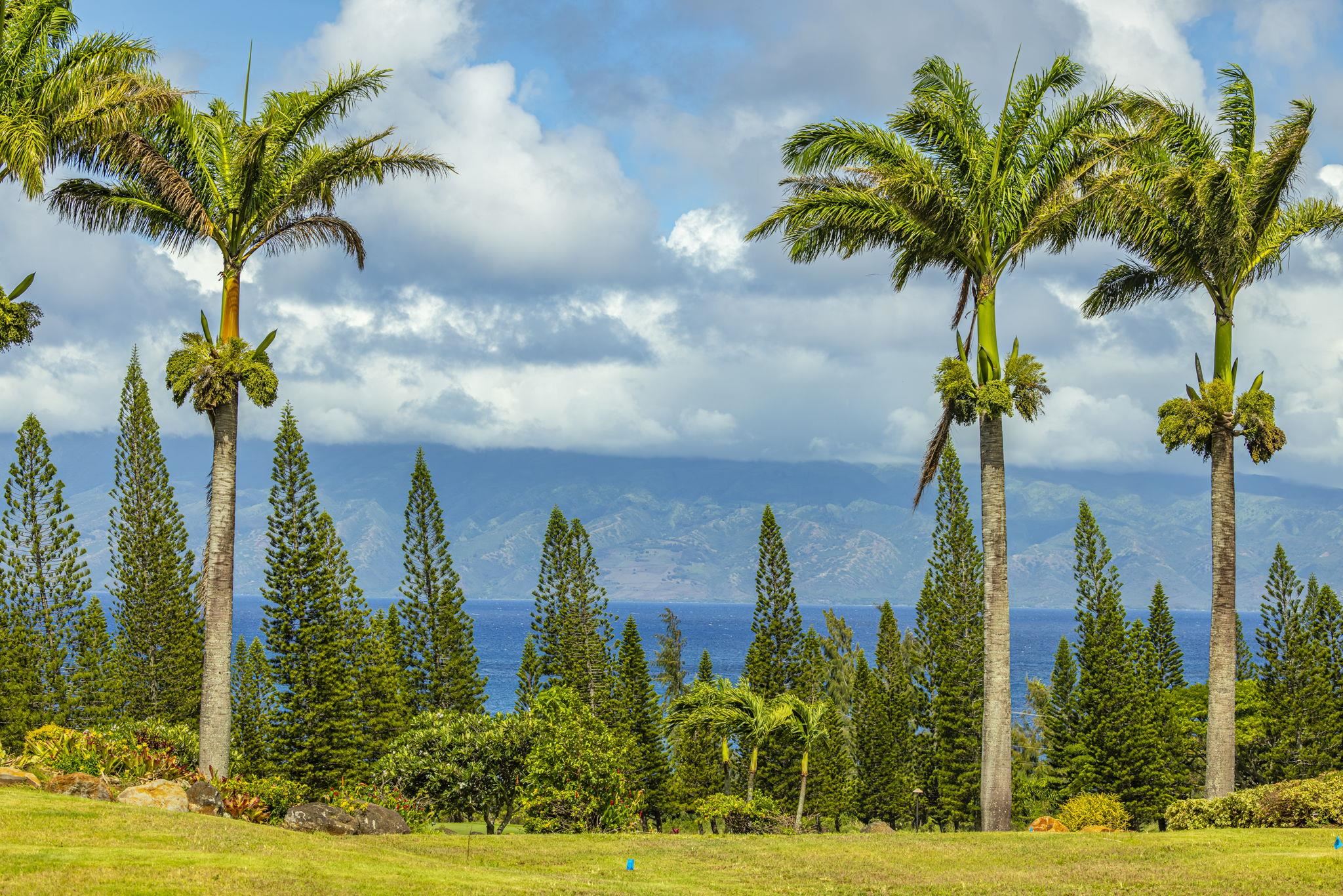 301 Plantation Estates Dr  Lahaina, Hi vacant land for sale - photo 8 of 17