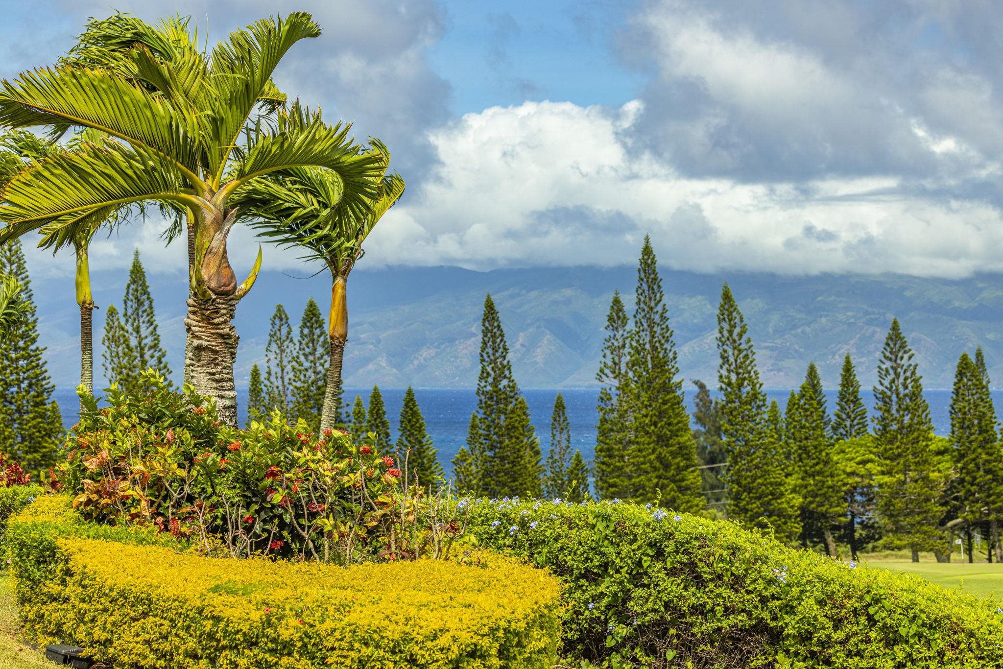 301 Plantation Estates Dr  Lahaina, Hi vacant land for sale - photo 9 of 17