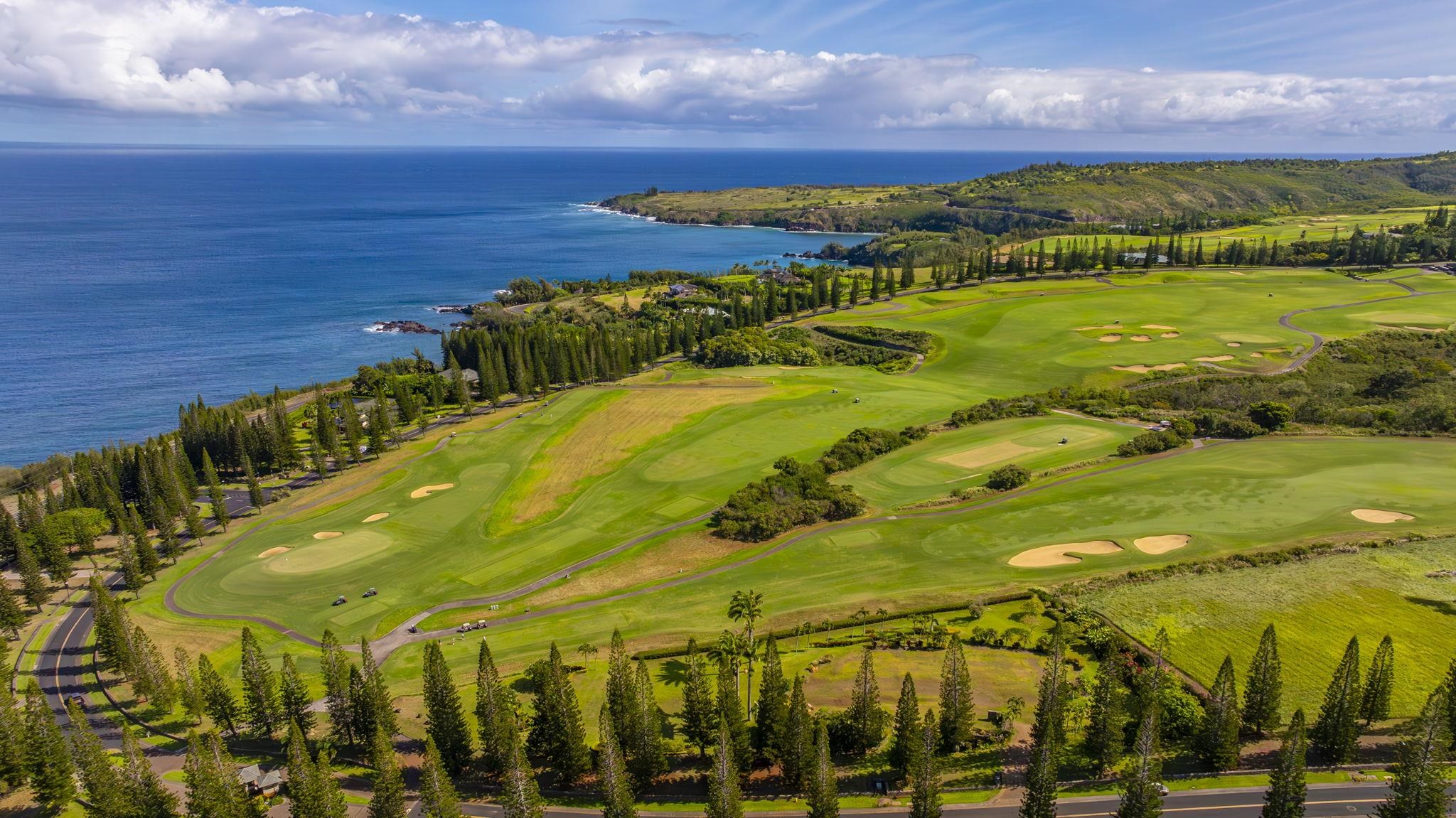 301 Plantation Estates Dr  Lahaina, Hi vacant land for sale - photo 10 of 17