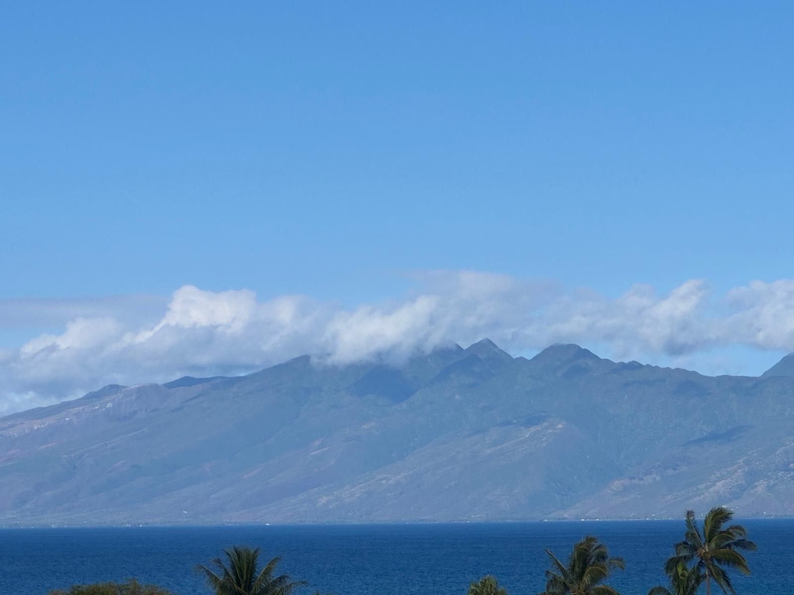 302  Kahana Ridge Dr Kahana Ridge, Napili/Kahana/Honokowai home - photo 42 of 50