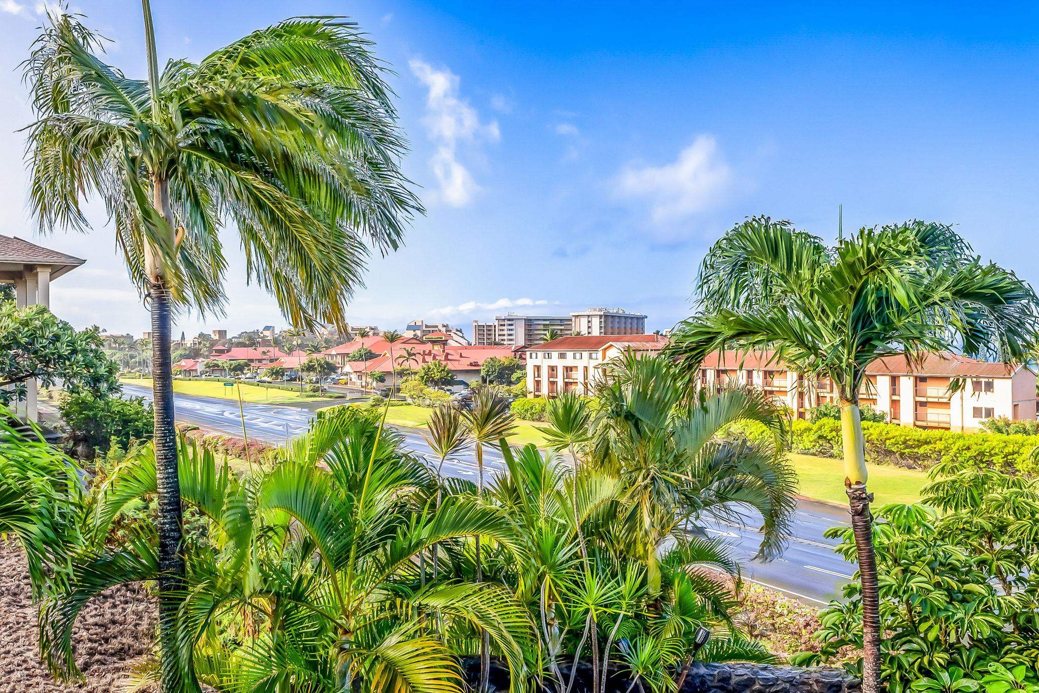 302  Kahana Ridge Dr Kahana Ridge, Napili/Kahana/Honokowai home - photo 43 of 50