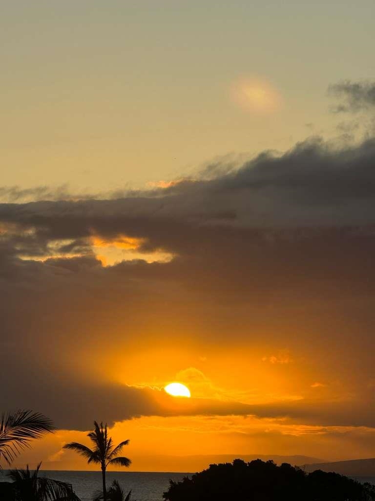 302  Kahana Ridge Dr Kahana Ridge, Napili/Kahana/Honokowai home - photo 44 of 50