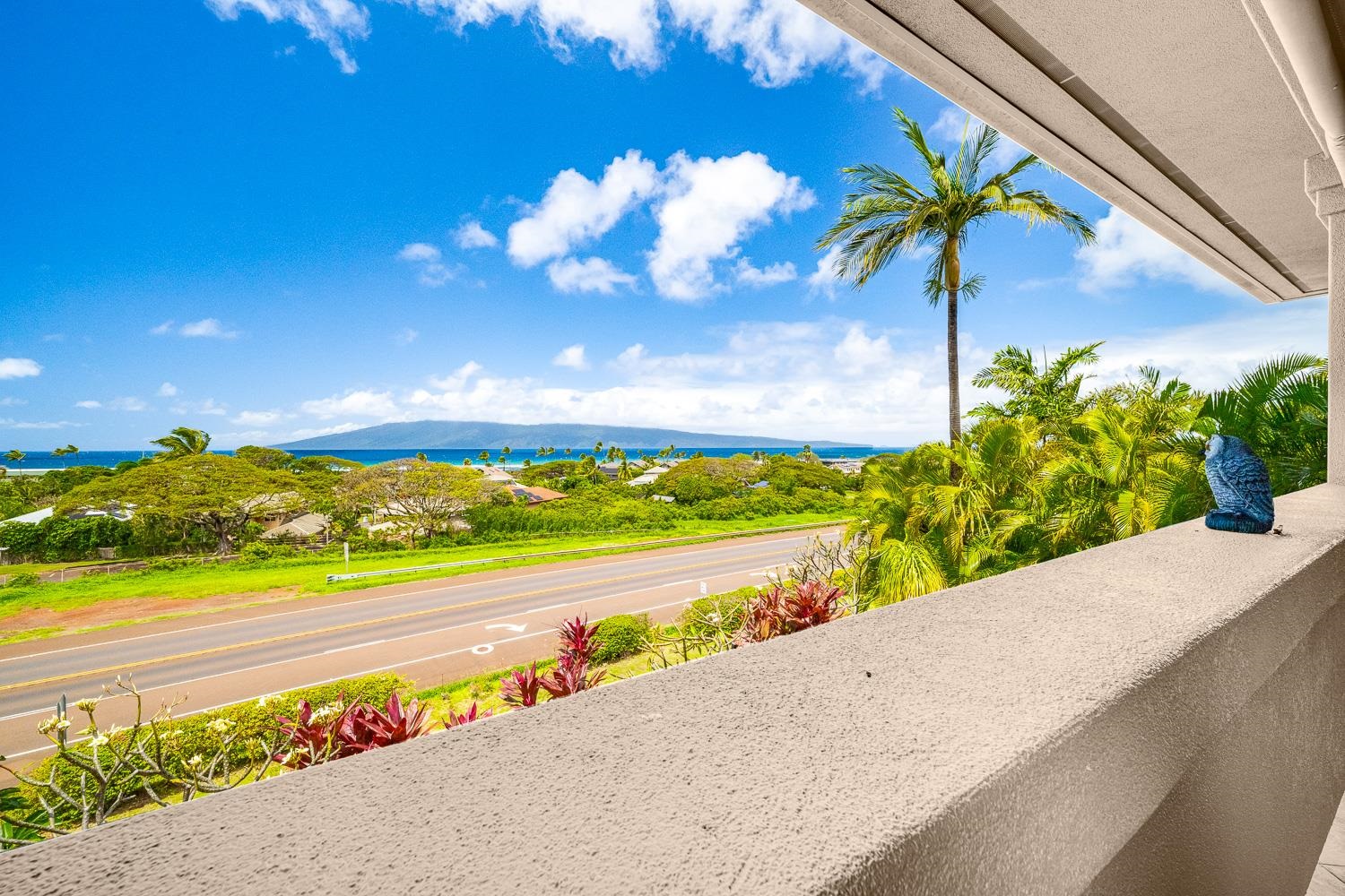 302  Kahana Ridge Dr , Napili/Kahana/Honokowai home - photo 9 of 47