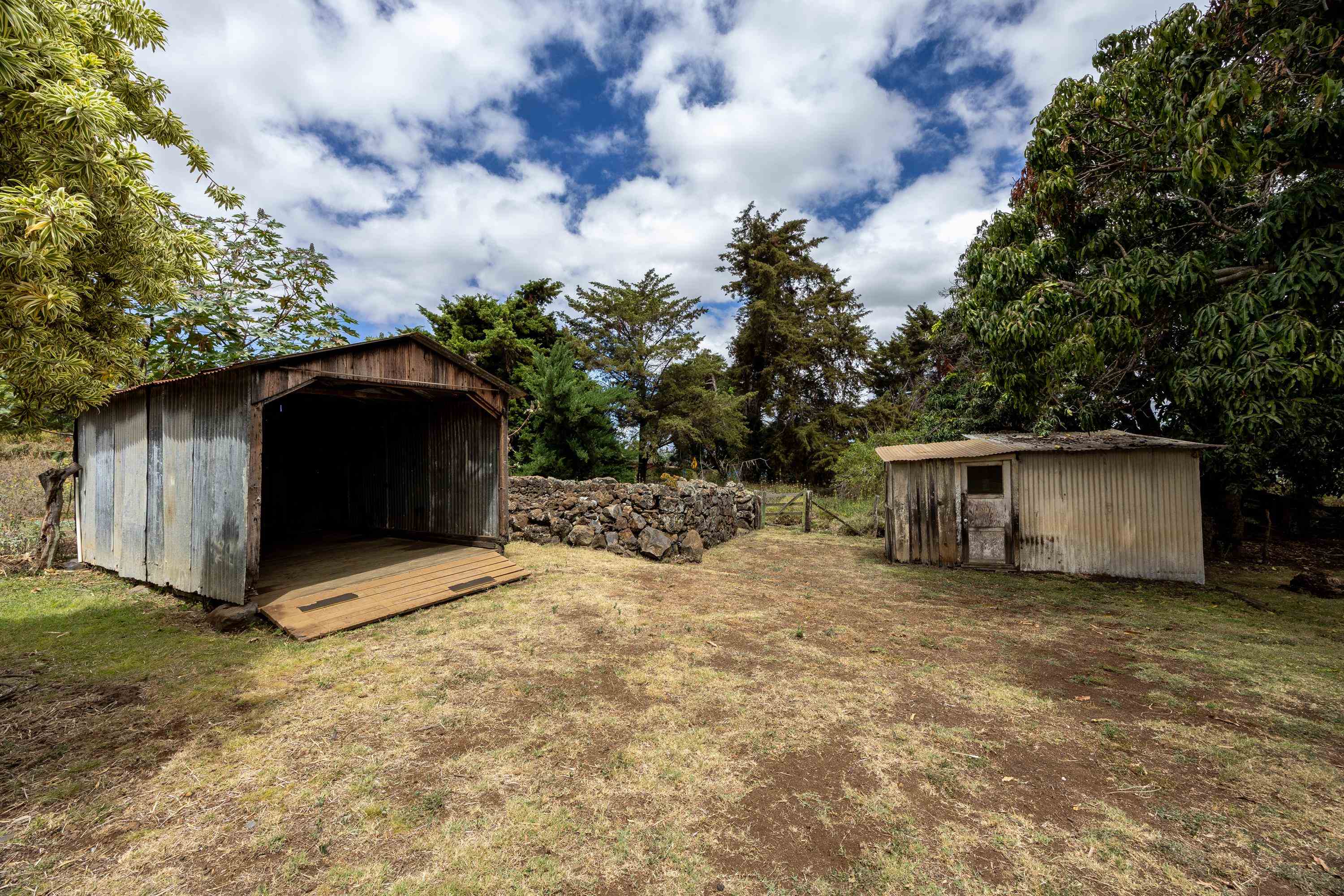3020  Lower Kula Rd , Kula/Ulupalakua/Kanaio home - photo 36 of 50