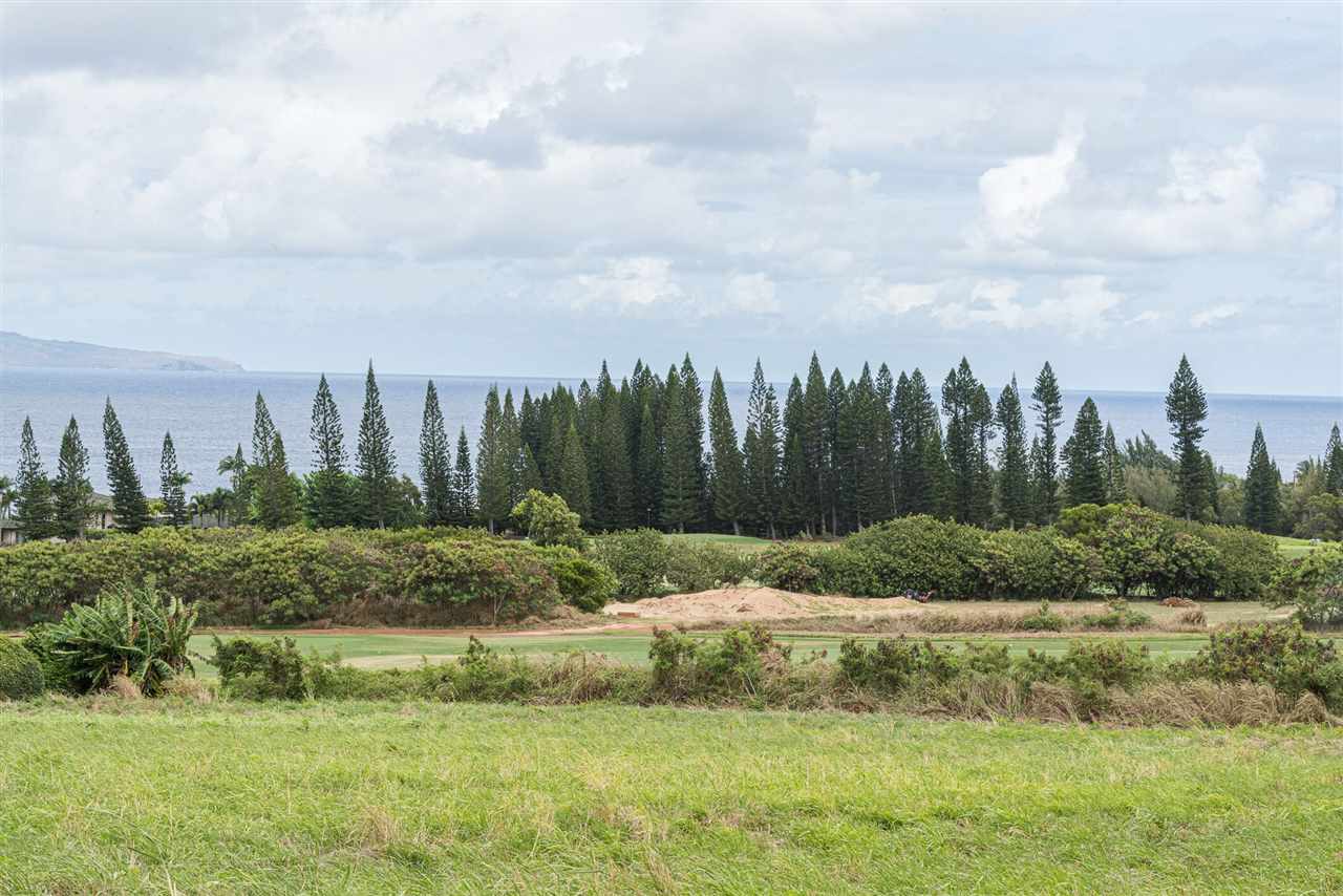 303 Plantation Estates Dr 33 Lahaina, Hi vacant land for sale - photo 11 of 14