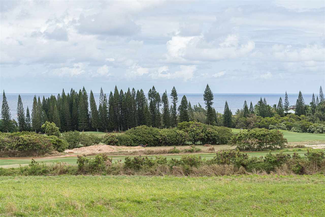 303 Plantation Estates Dr 33 Lahaina, Hi vacant land for sale - photo 13 of 14