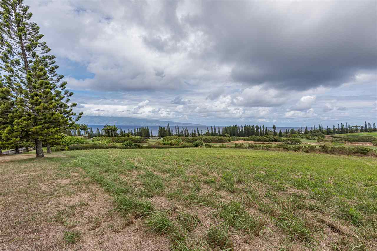 303 Plantation Estates Dr 33 Lahaina, Hi vacant land for sale - photo 9 of 14