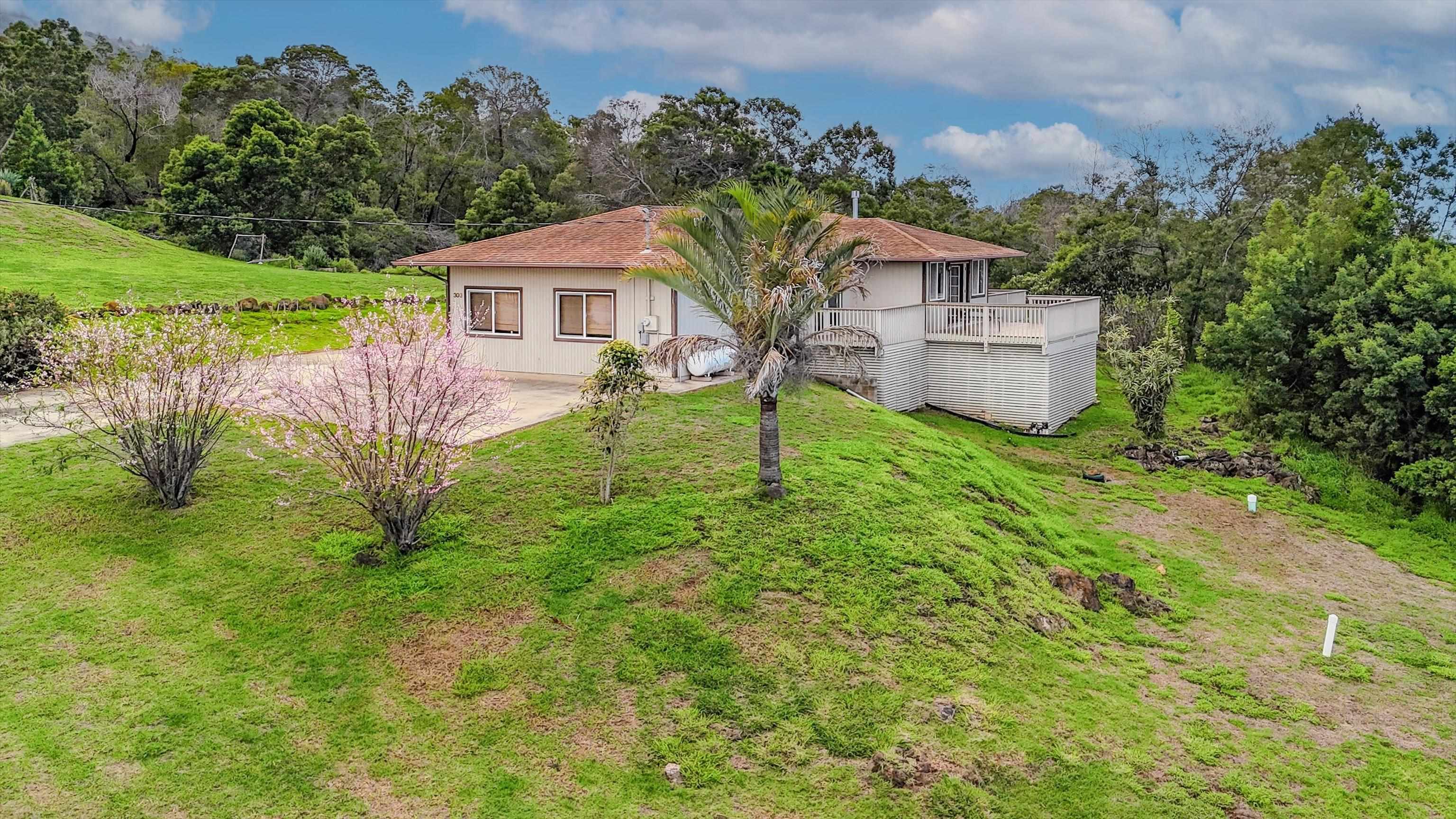 303  Pueo Dr Waiohuli, Kula/Ulupalakua/Kanaio home - photo 31 of 32