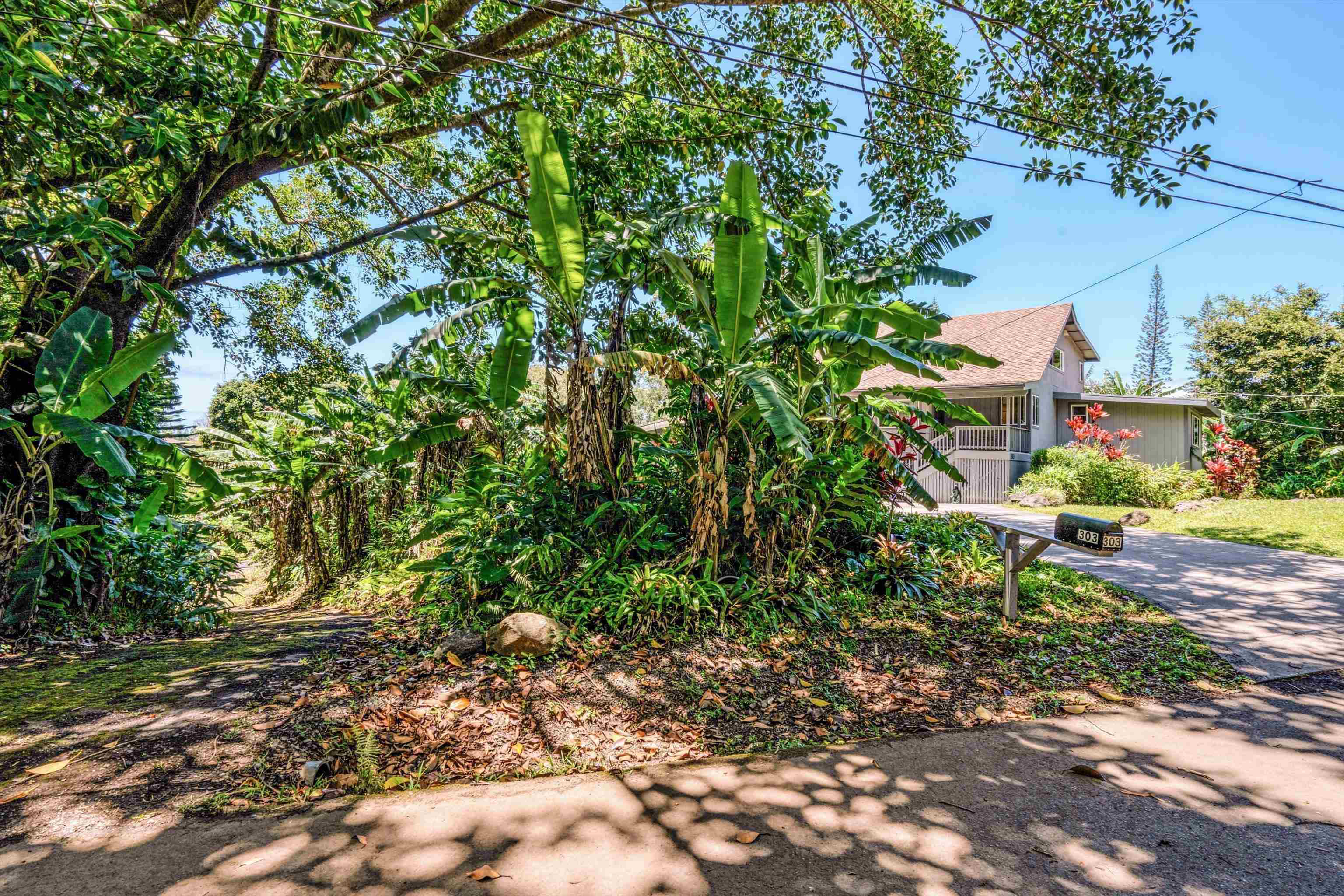 303  Waipalani Rd Maui Ranch Estates, Haiku home - photo 43 of 47