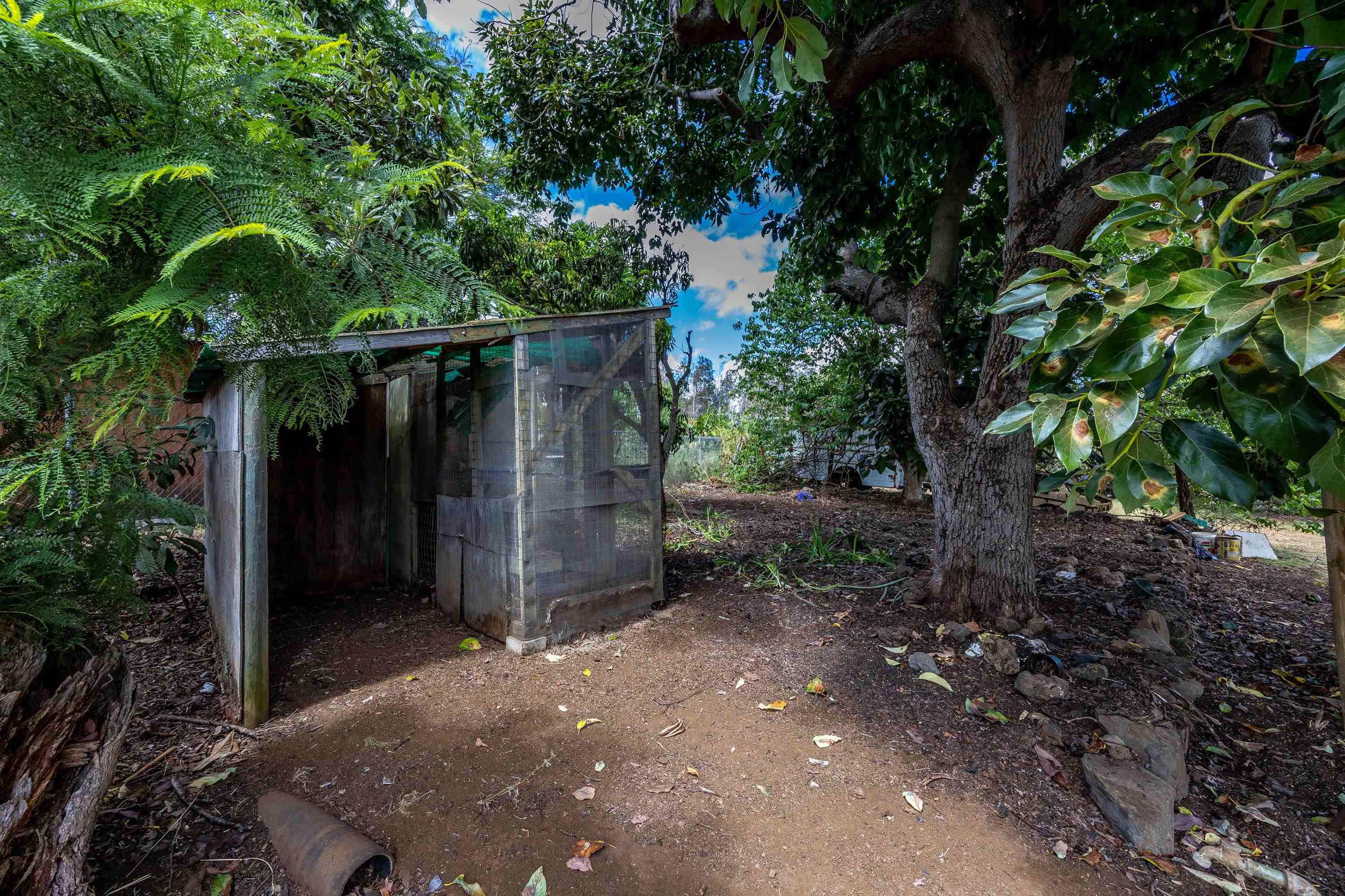 3044  Lower Kula Rd , Kula/Ulupalakua/Kanaio home - photo 22 of 44