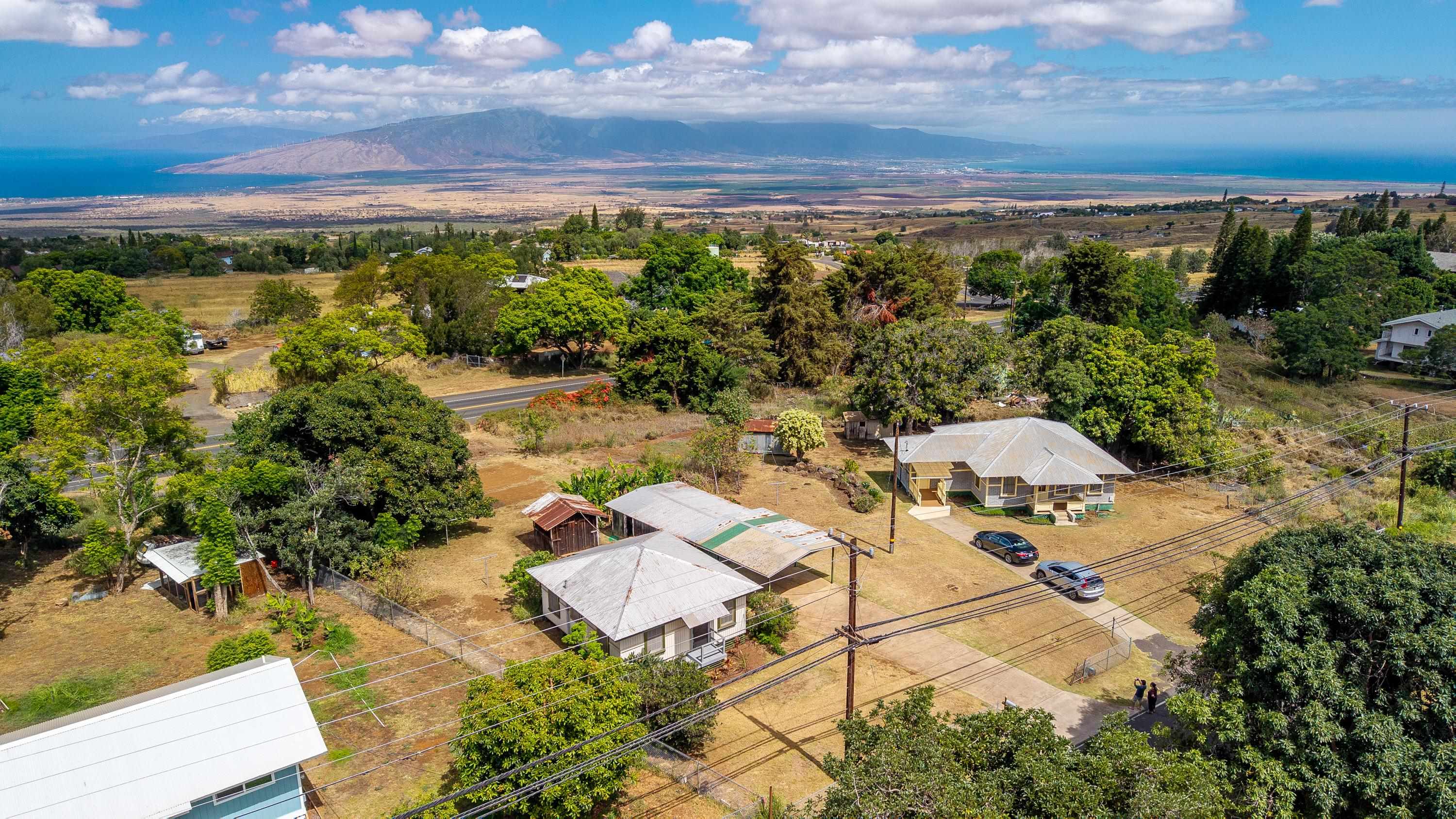 3044  Lower Kula Rd , Kula/Ulupalakua/Kanaio home - photo 38 of 44