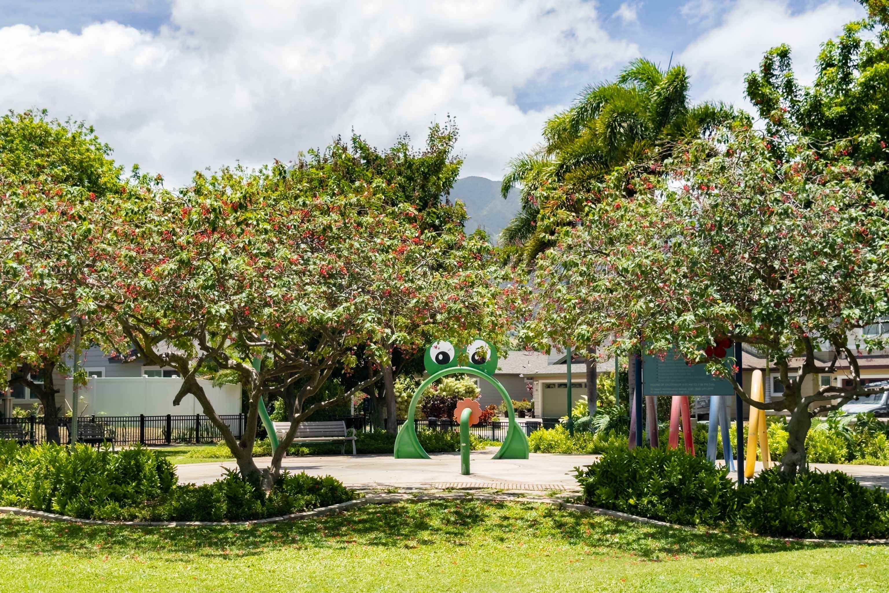 305  Pulihi St Traditions, Kahului home - photo 36 of 38