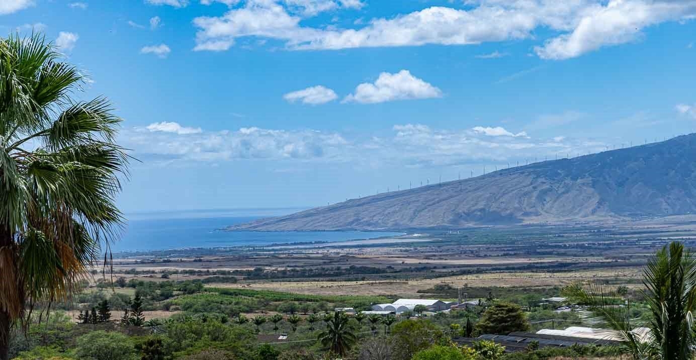 3051  Omaopio Rd , Kula/Ulupalakua/Kanaio home - photo 11 of 50