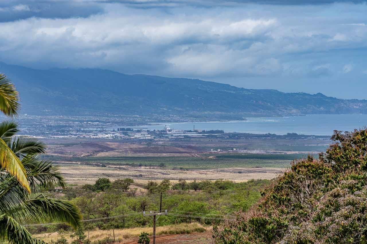 3051  Omaopio Rd , Kula/Ulupalakua/Kanaio home - photo 12 of 50