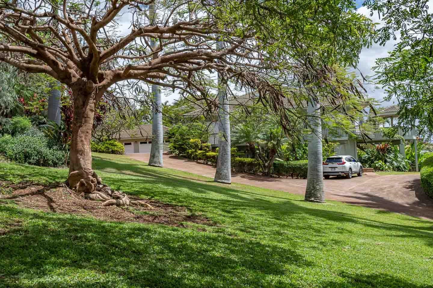 3051  Omaopio Rd , Kula/Ulupalakua/Kanaio home - photo 32 of 50