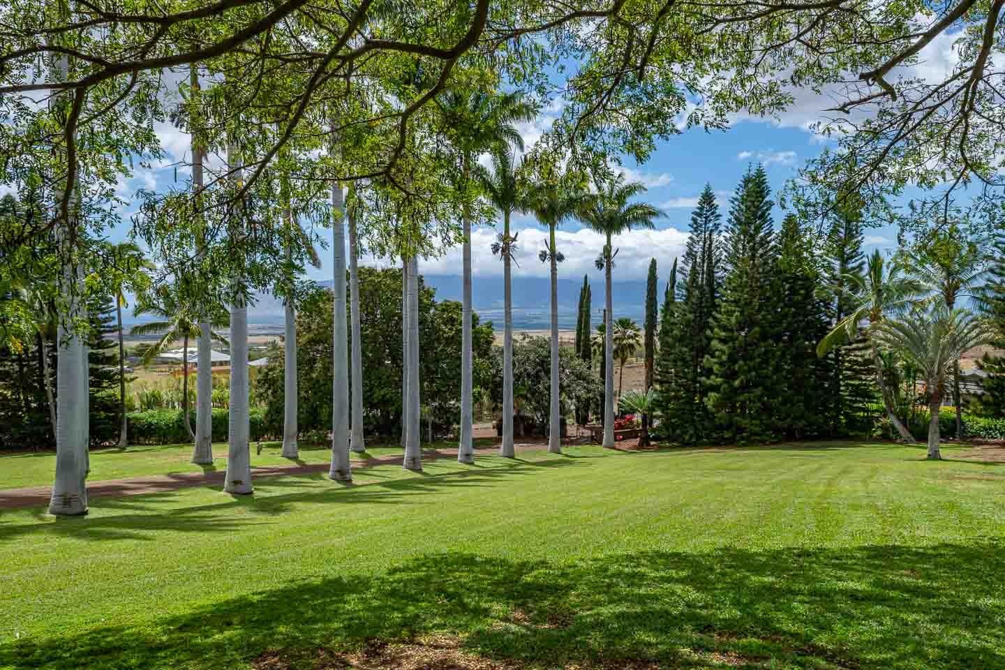 3051  Omaopio Rd , Kula/Ulupalakua/Kanaio home - photo 33 of 50