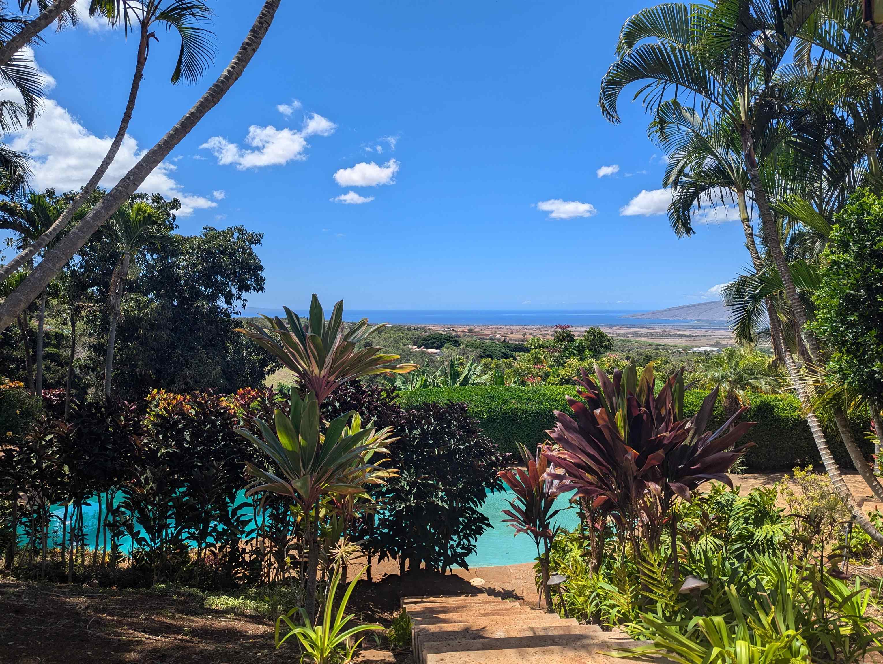 3051  Omaopio Rd , Kula/Ulupalakua/Kanaio home - photo 45 of 50