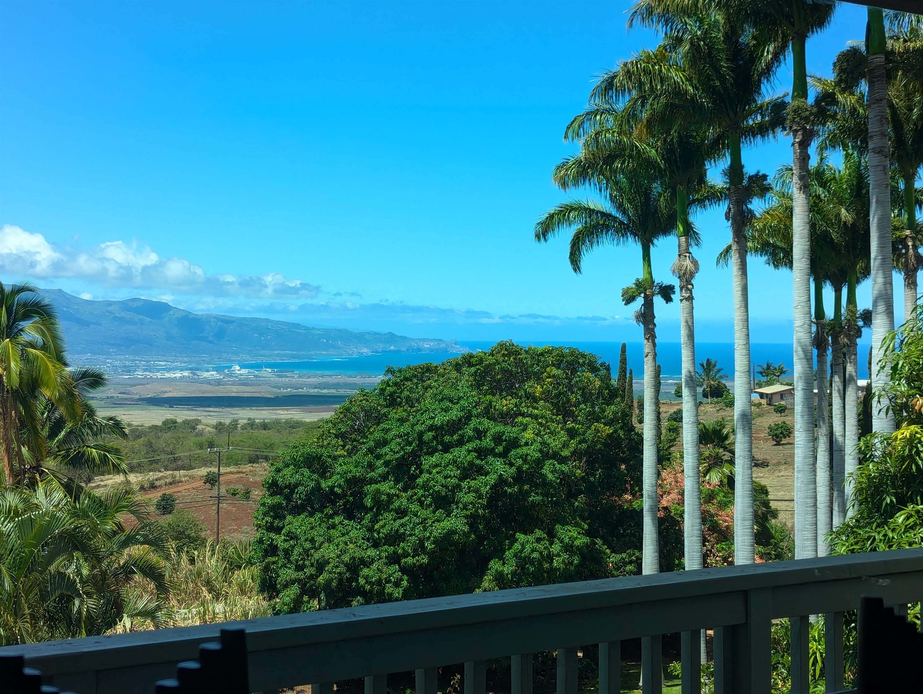 3051  Omaopio Rd , Kula/Ulupalakua/Kanaio home - photo 9 of 50