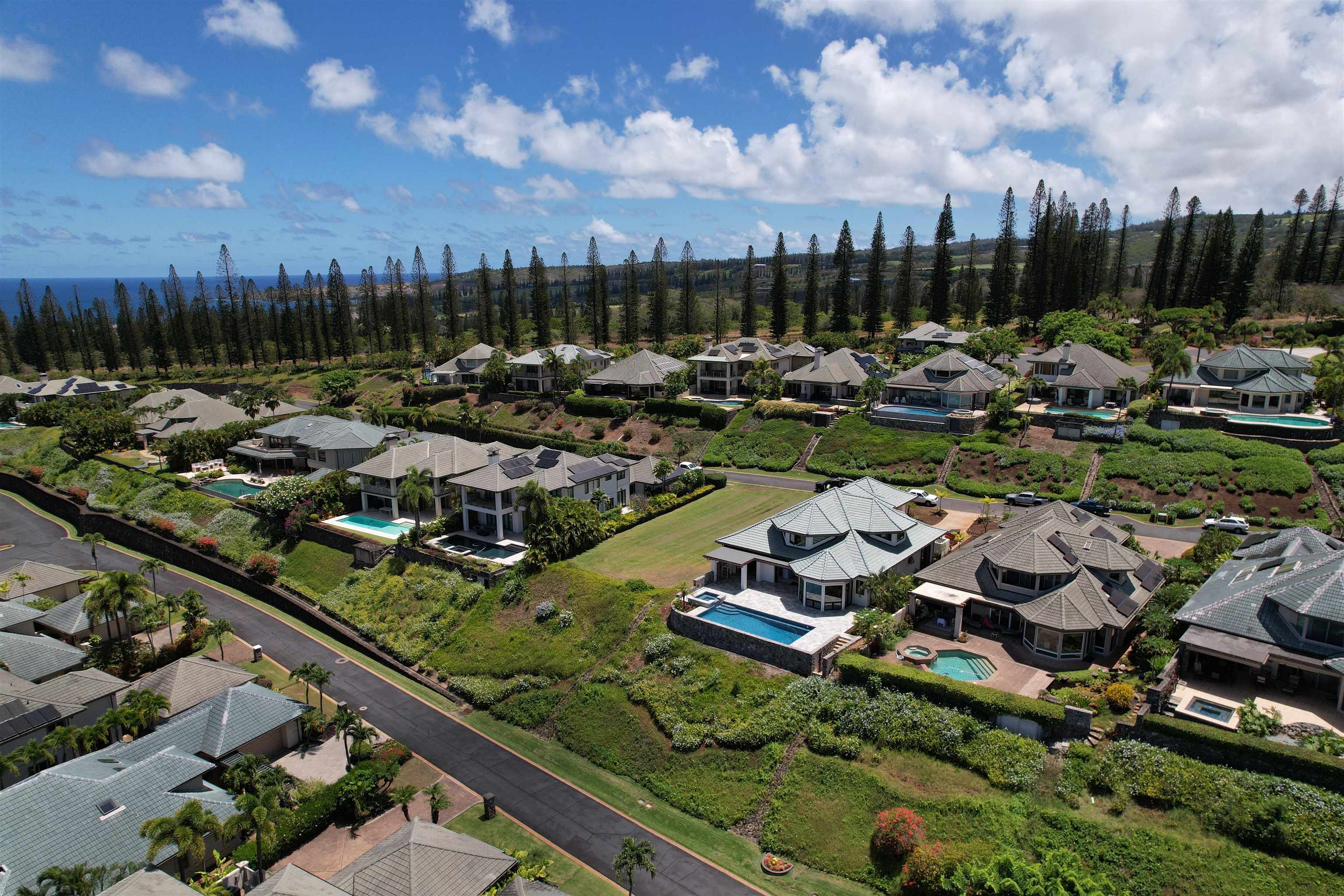 306  Cook Pine Dr Kapalua, Kapalua home - photo 6 of 32