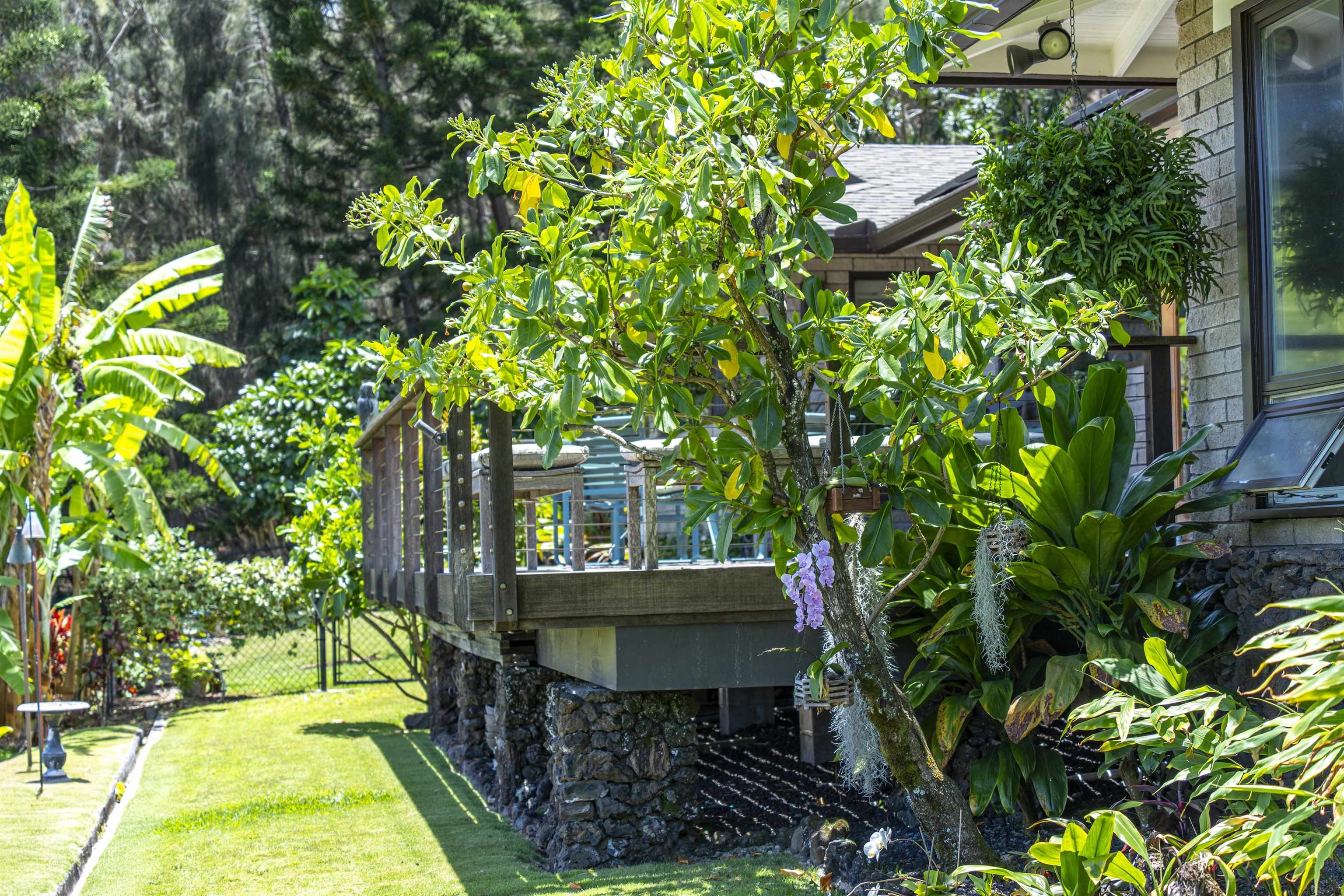 3075  Alaneo Pl , Wailuku home - photo 37 of 50