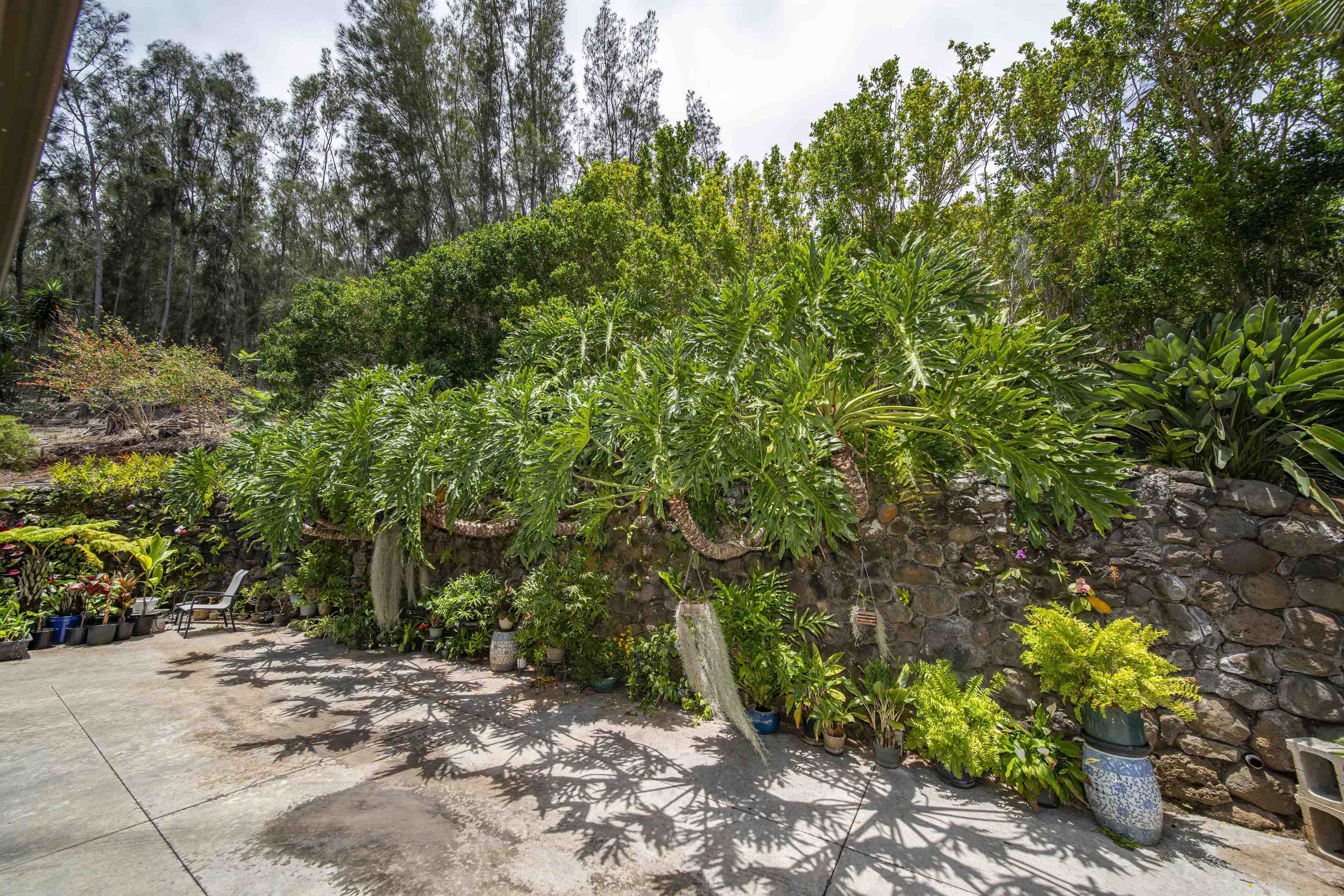 3075  Alaneo Pl , Wailuku home - photo 40 of 50