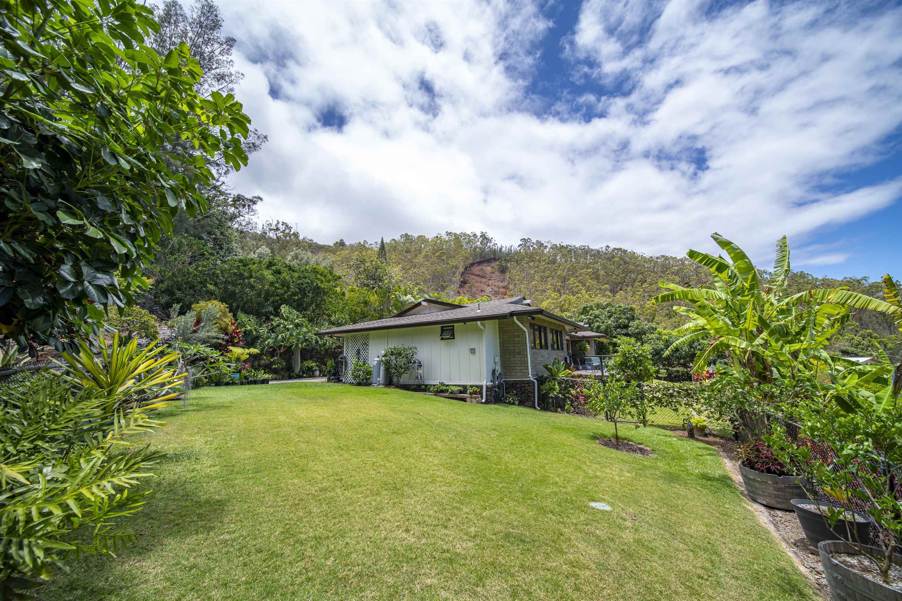 3075  Alaneo Pl , Wailuku home - photo 41 of 50