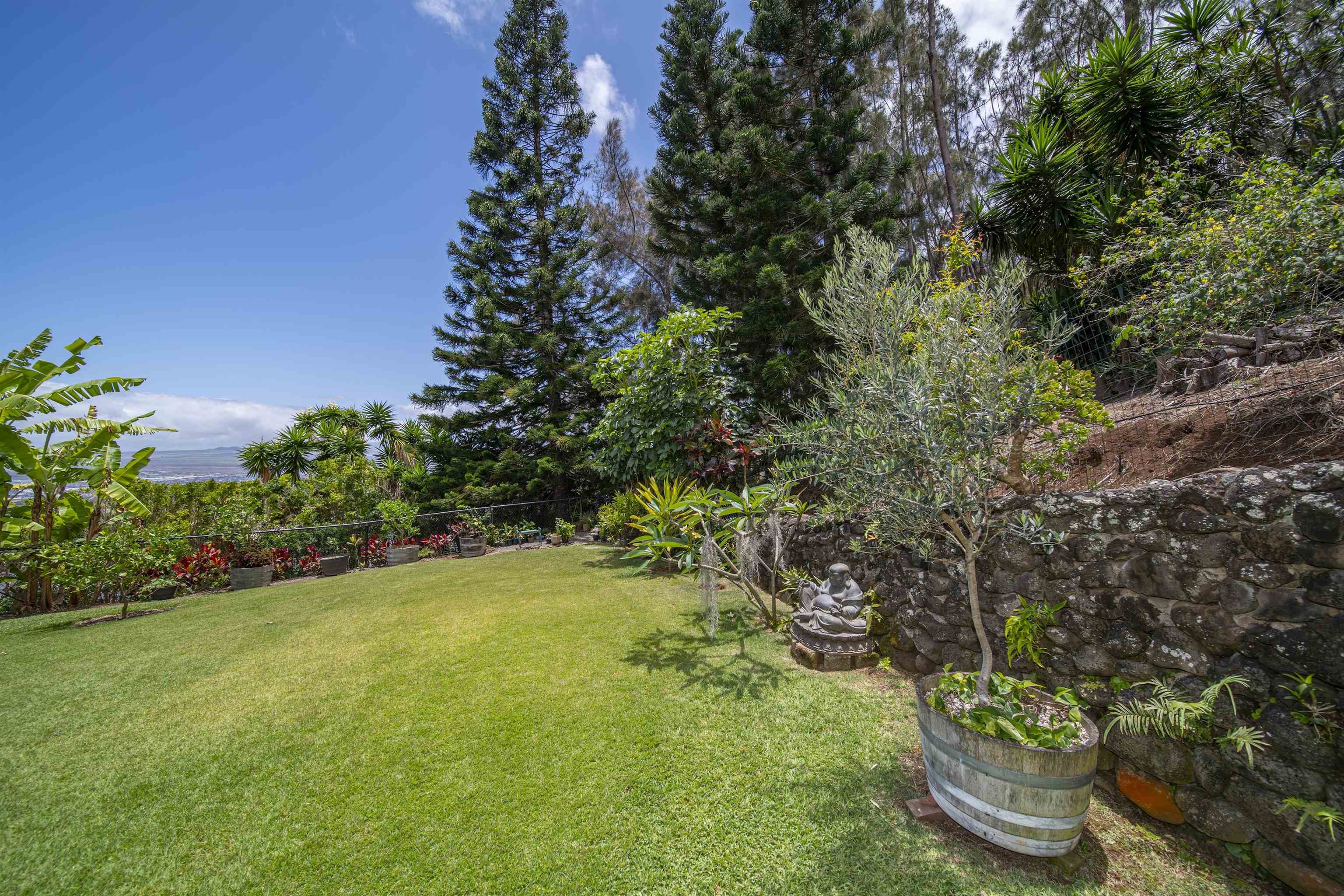 3075  Alaneo Pl , Wailuku home - photo 42 of 50